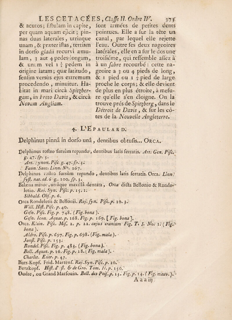 L ES C E T A C É E S , Ch Je II Ordre IV. & acutos; Mulam in capite, per quam aquam ejicit ; pin¬ nas duas laterales, utrinque unam , & praeter iftas, tertiam in dorfo gladii recurvi aemu¬ lam , 3 aut 4pedes*longam, & unum vel i 7 pedem in origine latam; quæ latitudo, fenïim versus ejus extremum procedendo , minuitur. Ha¬ litat in mari circà Spit^ber- gam, in ïreto Davis 7 & circà Novam Angliam. * 37 f font armées de petites dents pointues. Elle a lur la tête un canal, par lequel elle rejette l’eau. Outre fes deux nageoires latérales , elle en a fur le dos une troifiéme, qui reffembie allez à à un fabre recourbé : cette na¬ geoire a 3 ou 4 pieds de long, & i pied ou i ~ pied de large proche le corps ; & elle devient de plus en plus étroite, à mefu- re qu’elle s’en éloigne. On la trouve prés deSpitçberg, dans le Détroit de Davis , & fur les coû ¬ tes de la Nouvelle Angleterre* 4. U Ë P A U L A R D. > Delphinus pinnâ in dorfo unâ, dentibus obtufis... Ôrca Delphinus rôibo fursùm repando', dentibus latis ferratis,- Art. G en . Pifc*' g. 5. ♦ ' An. S y non. Plfc g. 47 :fp. 5 * FaundSutCi Linn. N°. 267. îhinus ro Ëalæna minor, utrâque maxillâ dentàta, • O rca dicia Bellonio & Ronde- leûo. Ra/. Sÿn. Pifc; p. i pç i? > • Sibbald. ObJ.p. 6. Qrca Rondeletii & BeHonii. Raj.fyn. Pifc.pl iè. Will. Hift. Pifc. p. 40. Gefn. Pifc. Fig. p. 748. ( Fig. bond ). Gefn. Icon. A quai, p. 168. Fig. p. 169. [Fig. bond]. • Orca. Klein. Pifc. Mif 1. p. 22. cujus cranium Fig. T. /. No à il ( Fig A bona). Aldro. Pifc.p. 697. Fig.p. 698. (Fig.,ma/a)„ ' Jonfi. Pifc. p. 15 5 ; - Ronde/. Pifc. Fig. p. 48 3. [Fig.-bona ). • Bell. Aquat. p. i6.-Fig.pt 18. { Fig. ma/a J* - Char/et. Exer. p. 47. Buts-Kopf. Frid. Martënf Raj.Syn. Pfc.p. iàA Butzkopf. Hifl. d* f. & de Gro. Tom. II. p. 15 o. Oudre, ,ou Grand Marfouin. Bell, des Pofp. 13, Fig.pl 14.Y Fig. màuy. A a a iij ; ftro fursùm repando dentibus latis ferratis. Orca/ Linn/