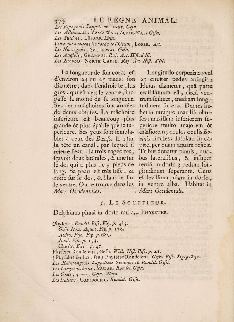 Les Efpagnols V appellent Tin et. Gefn, Les Allemands , Vassz Wal ; ZubeiuWal. Gefn, Les Suédois , Lôpare. Linn, Ceux qui habitent les bords de VOcean , Loper. Art. Les Norvègeois , Springwal. Gefn. Les Anglois , Grampus. Raj. Art.Hifl, AI fl, Les Ecojfois, North Caper. /24/. Art.LÎif. La longueur de fon corps efl: Longitudo corporis 24 vel ' d’environ 24 ou 25 pieds: fon 2j circiter pedes attingit : diamètre ^ dans l’endroit le plus Hujus diameter, quâ parte gros , qui efl; vers le ventre , fur- craiTiflTimum efl;, circà ven- palfe la moitié de fa longueur, trem fcilicet, mediam longi- Ses deux mâchoires font armées tudinem fuperat. Dentes ha- f)de dents obtufes. La mâchoire betin utrâque maxillâ obtu- Inférieure efl; beaucoup plus fos ; maxillam inferiorem fu- ^grande & plus épaiffe que la fu- periere multo majorem & jpérieure. Ses yeux font fembla- çrâffiorem ; oculos oculis Bo- -blés à ceux des Bœufs, Il a fur vinis frmiies fiftulam in ca¬ la tête un canal , par lequel il pire, per quam aquam rejicit, rejette l’eau. Il a trois nageoires, Tribus donatur pinnis , duo- fçavoir deux latérales , & une fur bus lateralibus , & infuper le dos qui a plus de g pieds de tertiâ in dorfo g pedum lon- long. Sa peau efl: très lilfe, & gitudinem fuperante. Cutis noire fur le dos, & blanche fur efl ieviffima, nigra in dorfo f le ventre. On le trouve dans les in ventre alba. Habitat in Mers Occidentales. Mari Occidentale * ». 5. L E Sou F F LEU R. Delphinus pinnâ in dorfo nulla... Physeter* phyfeter. Rondel. Pifc. Fig. p. 48 5.. Gefn. Icon. Aquat. Fig. p* 170. Aldro. Pifc. Fig.p.6 89. Jonfl. Pifc.p. 153* Ckarlet. Exer. p. 47. Phyfeter Rondeletii, Gefn. Will. Hif. Pifc.p. 41.. (Phyfilus Bellua , feu) Phyfeter Rondeletii. Gefn. Pifc. Fig.p. 851. Les Xalntongeois I appellent Sedenette. Rondel. Gefn. Les Languedochiens , Mular. RondeL Gefn, Les Grecs, çvs-tnnf, Gefn, Aldro. Les Italiens, Capidoglio. Rondel. Gefn.