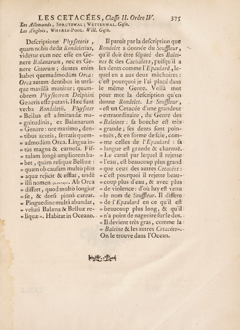 Ees Allemands , Sprützwal ; Wetierwal. Gefn. Les Ahglois, Whirle-Pool. Will. Gejn. Defcriptione Phyfeteris , quam nebis dedit iiondeletius, videtur eum nec eiTe en Ge¬ nere BdUnarum, nec ex Ge¬ nere Cetorum ; dentes enim habet quemadmodum Orca : Orca autem dentibus in utra¬ que maxilla munitur ; quam- obrem Phyfeterem Delphini Generis effs putavi. Hæc funt verba Rondeletii. Phyfeter <c Beilua eft admirandae ma- » gnitudinis, ex Balaenarum » Genere : ore maximo, den- « tibus acutis, ferratisquem- a> adinodùm Orca. Lingua in- 33 tus magna & carnola. Fif- », tulam longé ampliorem ha- »bet, quàm reliquæ Belluæ : 3, quam ob caufam multo plits 3» aquae rejicit & efflat, unde 3> illi nomen ..$V7V\T Ylpor» Ab Orca » differt , quod multo longior «■■fit, & dorfi pinna careat. !» Pinguedine multa abundat, »> veluti Balænaôc Belluæ re» »5 liquæ ». Habitat in Oceano. * Il paroît parla defeription que Rondelet a donnée du Souffleur, qu’il doit être féparé des Balei¬ nes & des Cachalots, puifqu’il a les dents comme 1’Epaulard , le¬ quel en a aux deux mâchoires : c’eft pourquoi je l ai placé dans le même Genre. Voilà mot pour mot la defeription qu’en donne Rondelet. Le Souffleur, «eft un Cetacée d’une grandeur » extraordinaire , du Genre des 55 Baleines : fa bouche eft très > « grande ; fes dents font poin- 55 tues, & en forme de feie, corn- 55 me celles de VEpaulard : fa^ 55 langue eft grande & charnue.-* 55 Le canal par lequel il rejette 55 l’eau, eft beaucoup plus grand 55 que ceux des autres Cetacées : 55 c’eft pourquoi il rejette beau-~ 55 coup plus d’eau, & avec plus > 55 de violence : d’où luy eft venu * 55 le nom de Souffleur. Il différé ' 55 de LEpaulard en ce qu'il eft 55 beaucoup plus long, & qu’ili 55 n’a point de nageoire furie dos* * 55 II devient très gras, comme la* 55 Baleine &les autres Cetacées». * On le trouve dans POcean.-»