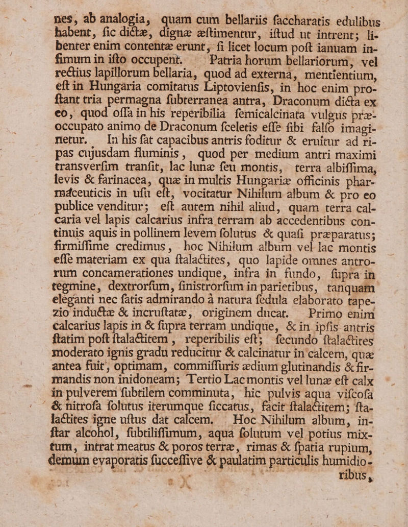 nes, ab analogia, quam cum bellariis faccharatis edulibus habent, fic dicte, digne zftimentur, iftud ut intrent; li- benter enim contente erunt, fi licet locum poft ianuam in- fimum inifto occupent. ^ Patria horum bellariorum, vel rectius lapillorum bellaria, quod ad externa, mentientium, eftin Hungaria comitatus Liptovienfis, in hoc enim pro- ftant tria permagna fübterranea antra, Draconum dicta ex. eo, quod offa in his reperibilia femicalcinata vulgus prz- occupato animo de Draconum fceletis effe fibi falfo imagi- netur. Inhis fat capacibusantris foditur &amp; eruitur ad ri- pas cujusdam fluminis, quod per medium antri maximi transverfim tranfit, lac lunz feu montis, terra albiffima, levis &amp; farinacea, quz in multis Hungariz officinis phar- máceuticis in ufü eft, vocitatur Nihilum album &amp; pro eo publice venditur; eft autem nihil aliud, quam terra cal- caria vel lapis calcarius infra terram ab accedentibus con- tinuis aquis in pollinem levem folutus &amp; quafi praeparatus; firmiffime credimus, | hoc Nihilum album vel lac montis effe materiam ex qua ítaladites, quo lapide omnes antro- rum concamerationes undique, infra in fundo, füpra in tegmine, dextrorfüm, finistrorfum in parietibus, tanquam eleganti nec fatis admirando à natura fedula elaborato tape- zio induce &amp; incruftate, originem ducat. Primo enim calcarius lapis in &amp; fupra terram undique, &amp; in ipfis antris ftatim poft ftala&amp;item , reperibilis eft; fecundo ftala&amp;tites moderato ignis gradu reducitur &amp; calcinatur in calcem, qua antea fuit; optimam, commiffüris aedium glutinandis &amp; fir- mandis non inidoneam; Tertio Lac montis vel lunz eft calx in pulverem fübtilem comminuta, hic pulvis aqua vifcofa ' &amp; nitrofa folutus iterumque ficcatus, facit ftalactitem; fta- lactites igne uftus dat calcem. | Hoc Nihilum album, in- ftar alcohol, fübtiliffimum, aqua folutum vel potius mix- tum, intrat meatus &amp; poros terre, rimas &amp; fpatia rupium, demum evaporatis fucceffive &amp; paulatim particulis x : LIO Ub Qo Gello d (Jis D DIE D. ribus, ks i. Lis 3* wo.