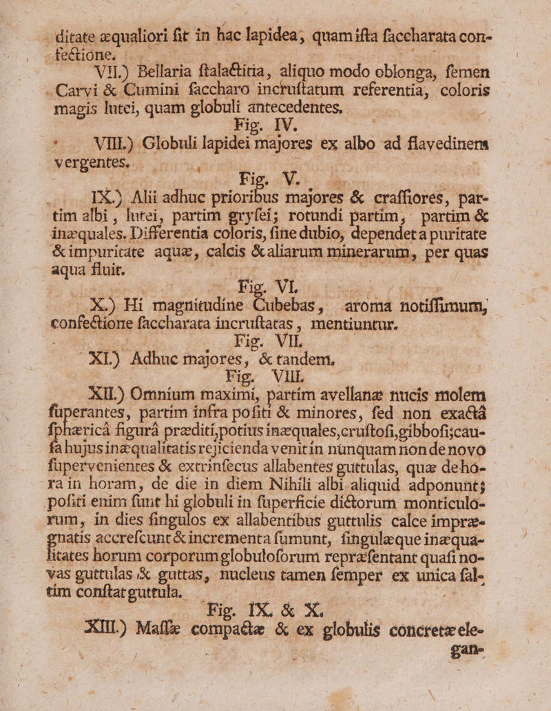 / jumini faccharo incruftatum referentia, coloris magis lutei, quam globuli antecedentes, | i | | um 2m. n : | * . VIII.) Globuli lapidei majores ex albo ad flavedinena Verpentele s ono sume: ec a Ner. ed » IX) Alii adhuc prioribus majores &amp; craffiores, pat- inzquales. Differentia coloris, fine dubio, dependeta puritate &amp;impuritate aqua, calcis &amp;aliarum minerarum, per quas . .X) Hi magnitudine Cubebas, aroma notiffumum, TX Git 0 n a : Tug. VIL XL) Adhuc majores, &amp;tandem., | , : Pu Vb C 4 XII.) Omníum maximí, partím avellanae nucis molem uet ira partim infra pofit! &amp; minores, fed non exa&amp;á fp T ricà figurá pr editi; potitus ina quales,cruftofi,gibbofi;cau- fahujusinaqualitatis rejicienda venitin nunquammnon denovo fupervenientes &amp; extrinfecus allabentes guttulas, qua deho- rain horam, de die in diem Nihili albi aliquid adponunt; natis accrefcunt &amp; incrementa fumunt, fingulz.que ina qua- itates horum corporumglobuloforum reprafentant quafi no- vas guttulas &amp; guttas, nucleus tamen femper ex unica fal- dmcohlareueuis | a. XIIL) Maffs compa&amp;e &amp; ex globulis concretzele- y 2 gan- / *