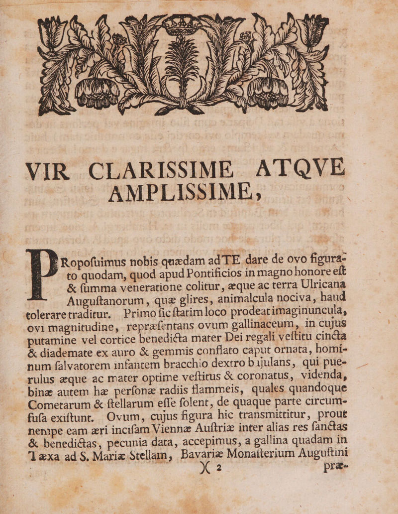 Leo NAE ^ z fois A. ^ js b um — -: -— von oro *, QUIM NM L4 ors. » Ti afa Mh ie ea a SR A 4 RO WO QR) 0 24 VIR CLARISSIME ATQVE — ^. AMPLISSIME, ' x z | B Ropofoimus nobis qnadam ad TE. dare de ovo figura- A-P to quodam, quod apud Pontificios in magno honore eft &amp; fümma veneratione colitur , eque ac terra Ulricana ! Auguftanorum , que glires, animalcula nociva, haud €oleraretraditur. Primo ficftatimloco prodeat imaginuncula, ovi magnitudine, reprafentans ovum gallinaceum, in cujus putamine vel cortice benedicta mater Dei regali veftitu cincta &amp; diademate ex auro &amp; gemmis conflato caput ornata, homi- num (alvatorem infantem bracchio dextro bijulans, qui pue- - rulus eque ac mater optime veltitus X coronatus, videnda, - bine autem ha perfona radiis lammeis, quales quandoque Cometarum &amp; ftellarum effe folent, de quaque parte circum- fufa exiftunt. Ovum, cujus figura hic transmittitur, prout nempe eam zri incifam Vienna Auftriz inter alias res fanctas &amp; benedi&amp;tas, pecunia data, accepimus, a gallina quadam in 1 &amp;xa ad S. Marie 5tellam, ies dr Monatíterium Auguftini | | 2 pra-« p *