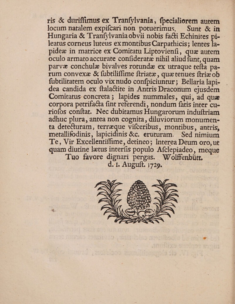 ris &amp; duriffimus ex Tranfylvania, fpecialiorem autem locum natalem expifcari non potuerimus, — Sunt &amp; in Hungaria &amp; Tranfylvania obvii nobis facti Echinites pi- leatus corneus luteus ex montibus Carpathicis; lentes la- pidez in matrice ex Comitatu Liptovienfi, qua autem oculo armato accurate confideratz nihil aliud funt, quam parva conchulz bivalves rotunda ex utraque tefta pa- rum convexa &amp; fubtiliffime ftriatz , qua tenues ftriz ob fubtilitatem oculo vix nudo confpiciuntur; Bellaria lapi- dea candida ex ftalactite in Antris Draconum ejusdem Comitatus. concreta; lapides nummales, qui, ad que corpora petrifacta fint referendi, nondum fatis inter cu- riofos conftat. Nec dubitamus Hungarorum induftriam adhuc plura, antea non cognita, diluviorum monumen- ta detecturam, terrzque vifceribus, montibus, antris, metallifodinis, lapicidinis &amp;c. eruturam. Sed nimium Te, Vir Excellentiffime, detineo; Interea Deum oro, ut quam diutine latus interfis populo Afclepiadeo, meque Tuo favore dignari pergas. W/olffenbütt. |... Q. 1. Auguft. 1729. am —— C pe