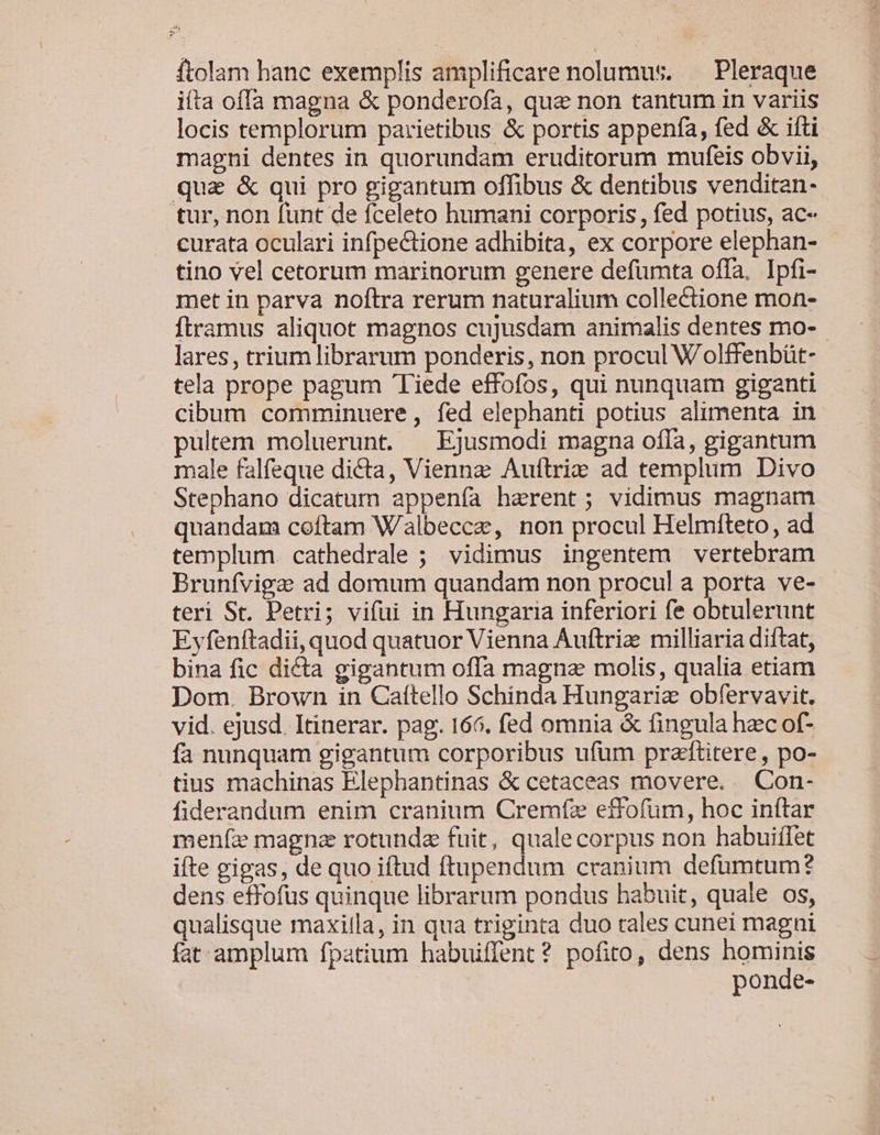 ftolam hanc exemplis amplificare nolumus. — Pleraque iíta offa magna &amp; ponderofa, que non tantum in variis locis templorum parietibus &amp; portis appenía, fed &amp; ifti magni dentes in quorundam eruditorum mufeis obvii, qua &amp; qui pro gigantum offibus &amp; dentibus venditan- tur, non funt de fceleto humani corporis, fed potius, ac- curata oculari infpectione adhibita, ex corpore elephan- tino vel cetorum marinorum genere defümta offa. Ipfi- met in parva noftra rerum naturalium collectione mon- Ítramus aliquot magnos cujusdam animalis dentes mo- lares, trium librarum ponderis, non procul Wolffenbüt- tela prope pagum 'Tiede effofos, qui nunquam giganti cibum comminuere, fed elephanti potius alimenta in pultem moluerunt. | Ejusmodi magna ofla, gigantum male falfeque dicta, Viennz Auftrie ad templum Divo Stephano dicatum appenía haerent; vidimus magnam quandam coftam W'albeccze, non procul Helmíteto, ad templum. cathedrale ; vidimus ingentem vertebram Brunfvigz ad domum quandam non procul a porta ve- teri St. Petri; vifui in Hungaria inferiori fe obtulerunt Eyfenftadii, quod quatuor Vienna Auftriz milliaria diftat, bina fic dicta gigantum offa magnae molis, qualia etiam Dom. Brown in Cattello Schinda Hungaria obfervavit. vid. ejusd. Itinerar. pag. 166, fed omnia &amp; fingula hzc of- fa nunquam gigantum corporibus ufum przftitere , po- tius machinas Elephantinas &amp; cetaceas movere. . Con- fiderandum enim cranium Cremfz effofum, hoc inítar menfe magna rotunda fuit, qualecorpus non habuiffet ifte gigas, de quo iftud ftupendum cranium defumtum? dens effofus quinque librarum pondus habuit, quale os, qualisque maxilla, in qua triginta duo tales cunei magni fat amplum fpatium habuiffent? pofito, dens hominis ponde-