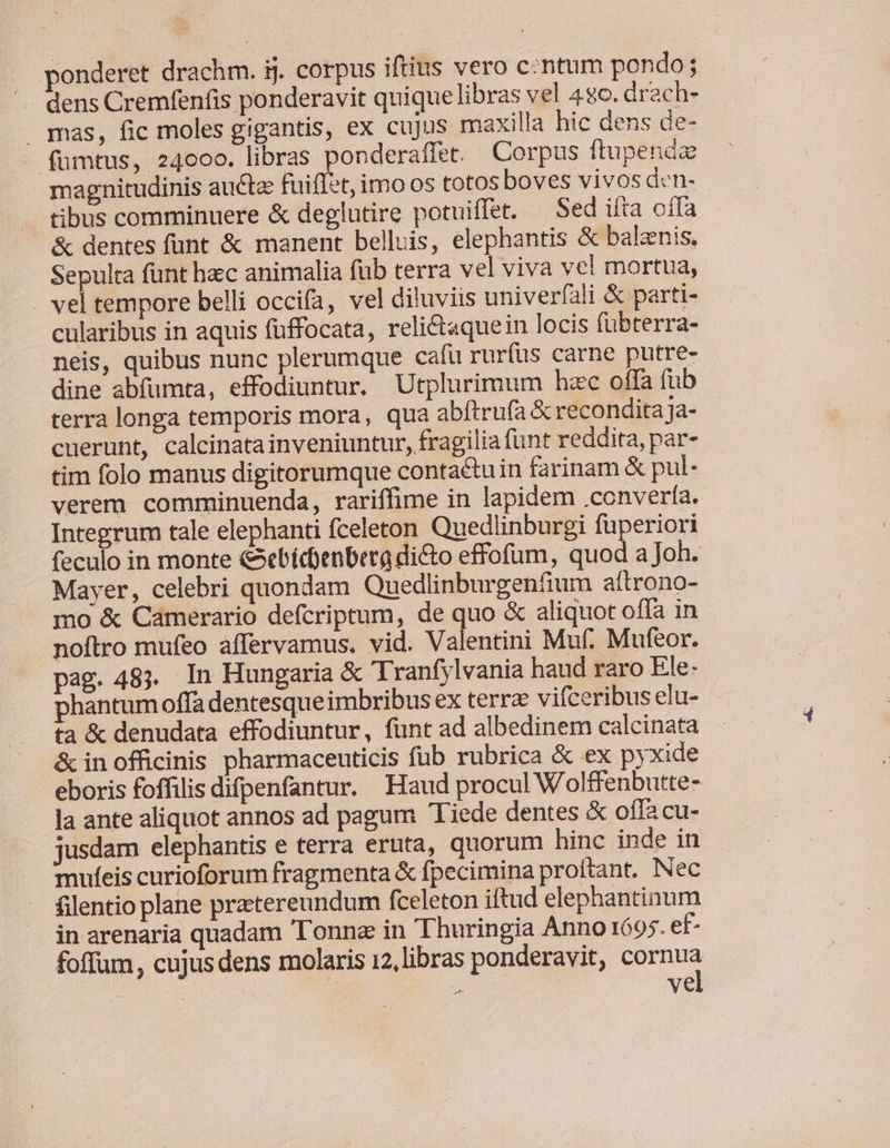 ponderet drachm. ij. corpus iftius vero czntum pondo; dens Cremfenfis ponderavit quique libras vel 4o. drach- mas, fic moles gigantis, ex cujus maxilla hic dens de- fumtus, 24000. libras ponderaffet. Corpus ftupenaz magnitudinis auctae fuiflet, imo os totos boves vivos den- tibus comminuere &amp; deglutire potuiffet. — Sed ifta ofa &amp; dentes funt &amp; manent belluis, elephantis &amp; balznis. Sepulta funt hec animalia füb terra vel viva vcl mortua, . vel tempore belli occifa, vel diluviis univerfali &amp; parti- cularibus in aquis fuffocata, reli&amp;taquein locis fübterra- neis, quibus nunc plerumque cafu ruríüs carne putre- dine abfumta, effodiuntur. Utplurimum hac offa füb terra longa temporis mora, qua abftrufà &amp; recondita ja- cuerunt, calcinata inveniuntur, fragilia funt reddita, par- tim folo manus digitorumque contactuin farinam &amp; pul- verem comminuenda, rariffime in lapidem .converfa. Integrum tale elephanti fceleton Quedlinburgi fuperiori feculo in monte &amp;ebícbenbera dicto effofum, quod a Joh. Mayer, celebri quondam Quedlinburgenfium aftrono- mo &amp; Camerario defcriptum, de quo &amp; aliquot offa in noftro mufeo affervamus. vid. Valentini Muf. Mufeor. pag.48; In Hungaria &amp; Tranfylvania haud raro Ele. phantum offa dentesqueimbribus ex terrae vifceribus elu- ta &amp; denudata effodiuntur, funt ad albedinem calcinata &amp; in officinis pharmaceuticis fub rubrica &amp; ex pyxide eboris foffilis difpenfantur. Haud procul Wolffenbutte- la ante aliquot annos ad pagum Tiede dentes &amp; offa cu- jusdam elephantis e terra eruta, quorum hinc inde in mufeis curioforum fragmenta &amp; fpecimina proftant. Nec filentio plane praetereundum fceleton iftud elephantinum in arenaria quadam Tonnz in Thuringia Anno 1695. ef- : d ve