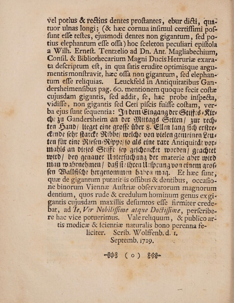 vel potius &amp; re&amp;ius dentes proftantes, ebur di&amp;i, qua- tuor ulnas longi; (&amp; h&amp;c cornua infimul certiffimi pof- funt effe teftes, ejusmodi dentes non gigantum, fed po- tius elephantum effe offa) hoc fceleton peculiari epiftola a Wilh. Erneít. Tentzelio ad Dn. Ant. Magliabechium, Coníil. &amp; Bibliothecarium Magni Ducis Hetruria exara- ta defcriptum eft, in qua fatis erudite optimisque argu- mentis monftravit, hec offa non gigantum, fed elephan- tum effe reliquias, — Leuckfeld in Antiquitatibus Gan- dersheimenfibus pag. 60. mentionem quoque fecit coftae cujusdam gigantis, fed addit, fe, hac probe infpe&amp;a,: vidiffe, non gigantis fed Ceti pifcis fuiffe coftam, ver- ba ejus funt fequentia: Syatem Gingaugort Oti(fid «Siro 0): 34 Gandersheim au bet SWuittagé &amp;»eíten/. 3ut red» fea S£aub| [ieget etae aro(fe über 8. (Ten Tang fif erftcer cinoe febr ftaccfe SRibbej melde von vielen gemeínen us fcu für eine JiiefenXippz fo alé e(ne tate Antiquitdt vot2 inablé an bfeed Gxfé fep aefdyencdet torben] gradjtet fvitb/ bet) genauec Ltaterfud)una ber materie abet tiro mag mabeaebinen/. af ft: (vea LE fpeunavon etnent aro fea QBaflfiftoe bergenomuten Da^ea maa. — Etc hec fünt; quz de gigantum putatitiis offibus &amp; dentibus, occafio- ne binorum Vienne Auftriz obfervatorum magnorum dentium, quos rude &amp; credulum hominum genus exgi-- gantis cujusdam maxillis defumtos effe firmiter crede- bat, ad Te, V;r Nobil:fime atque Doctiffrime, perícribe- - re hac vice potuerimus. Valereliquum, &amp; publico ar- tis medicz &amp; fcientize naturalis bono perenna fe- liciter, Scrib. Volffenb.d. r, | Septemb, i729. «- -M3 (0o) gé$