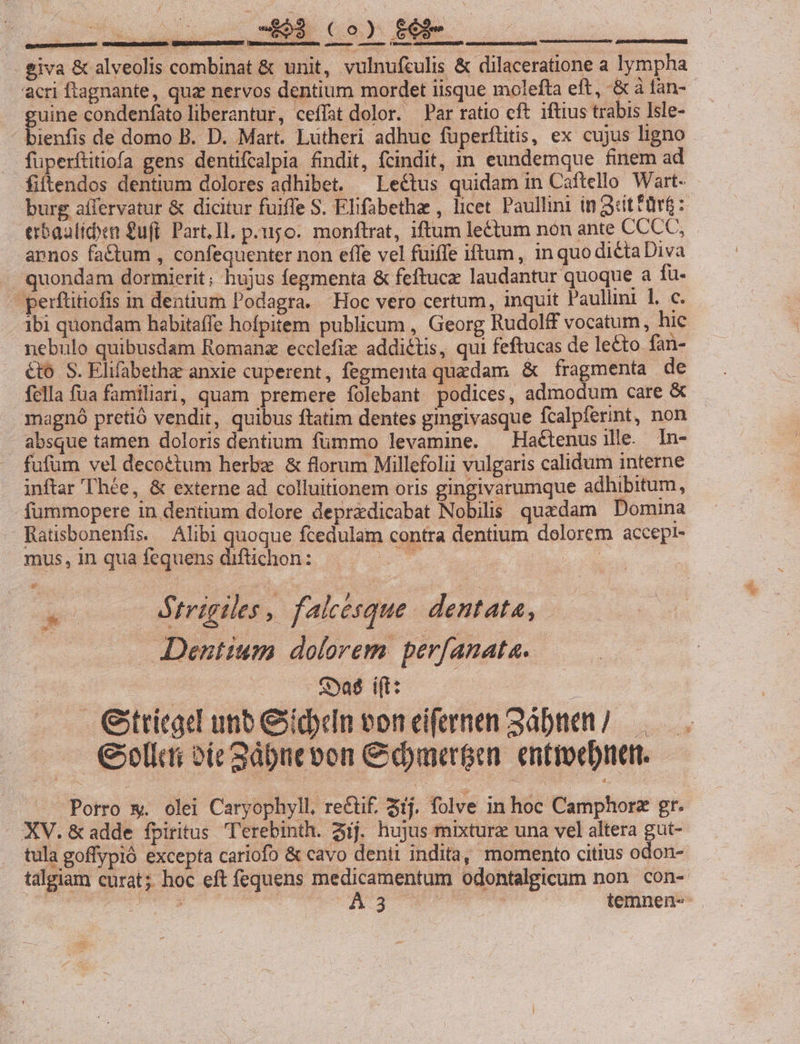 -. giva &amp; alveolis combinat &amp; unit, vulnufculis &amp; dilaceratione a lympha acri flagnante, quz nervos dentium mordet iisque molefta eft, d fan- pine condenfato liberantur, cefíat dolor. Par ratio cft iftius trabis Isle- ienfis de domo B. D. Mart. Lutheri adhuc füperftitis, ex cujus ligno füperftitiofa gens dentifcalpia findit, fcindit, zin eundemque finem ad fiftendos dentium dolores adhibet. —Lectus quidam in Caftello Wart- burg aífervatur &amp; dicitur fuiffe S. Elifabethz , licet Paullini in Srittürfi: erbaalíden uff. Part. Il. pugo. monftrat, iftum leétum non ante CCCC, annos fa&amp;tum , confequenter non effe vel fuiffe iftum, in quodiétaDiva quondam dormierit; hujus fegmenta &amp; feftucz laudantur quoque a fü-  perftitiofis in dentium Podagra. Hoc vero certum, inquit Paulini 1. c. ibi quondam habitaffe hofpitem publicum , Georg Rudolff vocatum, hic nebulo quibusdam Romana ecclefiz addiétis, qui feftucas de lecto fan- &amp;to S. Elifabethae anxie cuperent, fegmenta quedam &amp; fragmenta de fella füa familiari, quam premere folebant podices, admodum care &amp; magnó pretió vendit, quibus ftatim dentes gingivasque fcalpferint, non absque tamen doloris dentium fümmo levamine. ^ Hactenusille. In- fufum vel decottum herbe &amp; florum Millefolii vulgaris calidum interne inftar Thée, &amp; externe ad colluitionem oris gingivarumque adhibitum, fümmopere in dentium dolore deprzdicabat Nobilis quadam Domina Ratisbonenfis. Alibi quoque fcedulam contra dentium dolorem accepr- mus, in qua fequens diftichon: T | Ld i ) óStrigiles, falcesque. dentata, Dentium dolorem perfanata. | s»aé ift: : Gtticaet unb &amp;iddn voneifermn 3ábnem) —— . —. €ollui vie Sdbne von € dme. entroebren. Porro * olei Caryophyll. rectif. zij. folve in hoc Camphorz gt. XV.&amp;adde fpiritus Terebinth. 2íj. hujus mixture una vel altera gut- tula goffypió excepta cariofo &amp; cavo denti indita, momento citius odon- talgiam curat; hoc eft fequens medicamentum odontalgicum non. con- MÁS ai. uia | n3 wv ' temnen«
