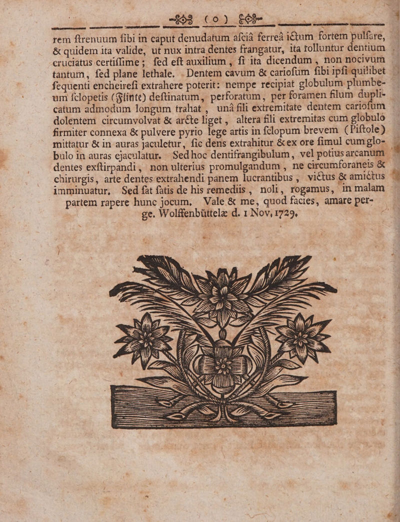 rem ftrenuum fibi in eaput denudatum afcià ferreà ictum fortem pulfsre, J / &amp; quidem ita valide, ut nux intra dentes frangatur, ita rolluntur dentium . cruciatus certiffime ; fed eft auxilium , fi ita dicendum , non nocivum fequenti encheirefi extrahere poterit: nempe recipiat globulum plumbe- um fclopetis (lint) deftinatum, perforatum, per foramen filum dupli-.. catum admodum longum trahat , unà fili extremitate dentem cariofum dolentem circumvolvat &amp; aréte liget, altera fili extremitas cum globulo firmiter connexa &amp; pulvere pyrio lege artis in fdlopum brevem (Piftole) bulo in auras ejaculatur. Sed hoc dentifrangibulum, vel potius arcanum E. dentes exftirpandi, non ulterius promulgandum , ne circumforanets &amp; chirurgis, arte dentes extrahendi panem lucrantibus , victus &amp; amictus ^| imminuatur, Sed fàtíatis de his remediis , noli, rogamus, in malam . partem rapere hunc jocum, Vale &amp; me, quod facies, amare per^ —— ge. Wolffenbüttelz d. 1 Nov, 1729. e