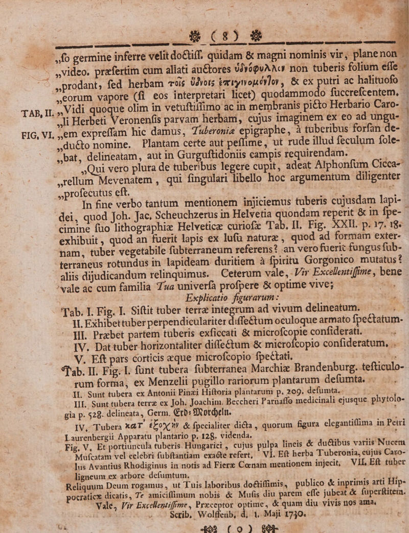 - , 9 c mue es — fo germine inferre velit do&amp;tiff. quidam &amp; magni nominis vir; planenon 3 ,video. praefertim cum allati autores uJYóguA Ac non tuberis folium effe - — sprodant, fed herbam vois Üdvots tarrynopóylor, &amp; ex putri ac halituofo ,eorum vapore (fi eos interpretari licet) quodammodo füccrefcentem, TAP, It. » Vidi quoque olim ín vetuftiffimo ac in membranis picto Herbario Caro-. li Herbeti Veronenfis parvam herbam, cujus imaginem ex eo ad ungu-. FIG, VI, ,em expreffam hic damus, Tuweroniz epigraphe, à tüberibus forfan de- ,du&amp;o nomine. Plantam certe aut peflime, ut rude illud feculum fole- - ,bat, delineatam, aut in Gurgufüidoniis campis requirendam. . | »Qui vero plura de tuberibus legere cupit, adeat Alphonfüm Cicca- ,rellum Mevenatem , qui fingulari libello hoc argumentum diligenter »profecutus eft. vé LA ede MINE Ur In fine verbo tantum mentionem injiciemus tuberis cujusdam lapi- dei, quod Joh. Jac. Scheuchzerus in Helvetia quondam reperit &amp; in fpe- cimine fuo lithographiz Helveticz curiofz rab. JL Fig. XXII. p. 17. 18. exhibuit , quod an fuerit lapis ex lufü natura , quod ad formam exter- mam, tuber vegetabile fübterraneum referens? .an vero fuerit fungus fub- terraneus rotundus in lapideam. duritiem à fpiritu Gorgonico mutatus? aliis dijudicandum relinquimus. Ceterum vale,-Vir Excellentiffime , bene ^vale ac cum familia 7 univerfa profpere &amp; optime vive; — e. qno Lou Explicatio figurarum: — - 'T'ab. I. Fig. I. Siftit tuber terra integrum ad vivum delineatum. ; II. Exhibettuber perpendiculariter dietum oculoque armato fpectatum- . Jl. Prebet partem tuberis exficcati &amp; microfcopie confiderati.- | IV. Dattuber horizontaliter diffe&amp;tum &amp; microfcopio confidetatum, .. V. Eft pars corticis eque microfcopio fpectati. i *f'ab. II. Fig. I. funt tubera fübterranea Marchize Brandenburg. tefticulo- rum forma, ex Menzelii pugillo rariorum plantarum defumta. -- IL. Sunt tubera ex Antonii Pinzi Hiftoria plántarum p. 209. defumta. i ; III. Sunt tubera terrz ex Joh. Joachim. Beccheri P arnaffo medicinali ejusque. phytolo- gia p. 528. delineata, Germ. rb» So otepelu. à . JV, Tubera xaT fox &amp; fpecialiter dicta, quorum figura elegantiffima in Petri Laurenbergii Apparatu plantario p. 128. videnda. ai , Fig, V, Et portiuncula tuberis. Hungarici , cujus pulpa lineis &amp; du&amp;tibus variis Nucem Mufcatam vel eelebri fubftantiam exaóte refert, VI. Eft herba 'Tuberonia, cujus Caxro- — ]us Avantius Rhodiginus in notis ad Fiere Coenam mentionem injecit, VIL Eft tuber ligneum ex arbore defumtum. | Reliquum Deum rogamus , ut Tuis laboribus do&amp;iffimis, publico &amp; inprimis arti Hip- pocraticx dicatis, Te amiciffimum nobis &amp; Mufis diu parem effe jubeat &amp; fuperfitem. Vale, Vir Excellentiffeme , Praeceptor optime, &amp; quam diu vivis nos ama. ee ctc) ' Sctib, Wolffeib, d, 1. Maji 1739. - *