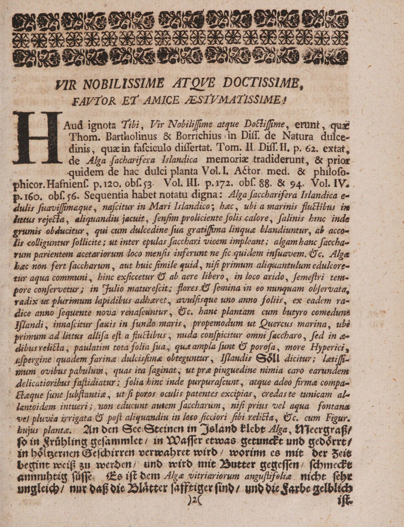 ra MA ee ^ : eA XO í EE [Xu gpl a; : - —— WIR NOBILISSIME ATQVE DOCTISSIME, - FAVIOR ET AMICE AESIVMATISSIME Aud ignota Jibi, Vir INobilifime atque. Doctiffime, erunt , quae 'Phom. Bartholinus &amp; Borrichius in Diff. de Natura duice- dinis, quain fafciculo differtat. ''om. IL Diff. 1L, p. 62. extat, de Aga facharifera. Islandica. memori tradiderunt, &amp; prior. | -quidem de hac dulci planta Vol.l, Actor. med. &amp; philofo- *hicor. Hafnienf. p.120, obf. 53. Vol. HI. p.172. obf. 88. &amp; 94. Vol. IV, . p.160. obf $6. Sequentia habet notatu digna: 4/ga faccharifera Islandica e- dulis fuaviffmaque, nafcitur in Mari Islandicos hac, ubi a marinis flu&amp;libus im Aittus vejecta , aliquandiu jacuit , fenfim prokiciente folis calore, falinis binc. inde grumis obducitur , qui cum dulcedine jua gratifftma lingue Llandiuntur, ab acco- - Mis colliguntur follicite ; ut inter epulas faccbaxi vicem impleant; algam banc faccha- vum parientem acetariorum doco menfis inferunt ne fic quidem infuavem.9c. Ala — ! bac non. fert faccharum , aut buic fimile quid , nifi primum aliquantulum edulcore- ur aqua communi, binc exficcetur O. ab aere libero ,. in loco avide, femeftri tem- pore confervetur ; in julio maturefcit; floves 4S. femina in eo nunquam obfervata, vadix ut plurimum lapidibus adbavet, avwlfirque uno auno. foliir, ex eadem va- - dice anno fequente nova vena[cuntur , Oc. bané plantam. cum butyro comeduns | Jflandi , iunafcitur faxis in fundo maris, propemodum ut. Quercus. marina, ubé primum ad littus. allifa efl. a flu£libus , nuda con[picitur ommi faccharo, fed in a- - dibus veli£la ; paulatim tota folia fua, qua ampla [unt O porofa, more Hyperici, &amp;fpergine quadem farina: dulcisfana obteguntur ,- Iflandis &amp;oM dicitur; Leif- sium ovibus pabulum, quas ita faginat, ut pra piuguedine nimia caro. earundem - delicatioribus faflidiatur ; folia binc inde purpurafcunt, atque adeo firma compas ' &amp;laque funt fubflamia, ut.fi poros. oculis patentes excipias, credaste tunicam ala — ^ Rantoidem intueri ; uon educunt. autem Jaccharum , mifi prius vel aqua. fontana vel pluvia iyrigata poft aliquandiu in Ioso ficaiori fbi velita, Oc. cum Figur. bujus plante... 2j ocri &amp;ce&amp;teinen in ^ $elano Elcbt Alo, fYfeergvafi/ fo in Srübling defammlec/ in YOaffer etwas. tgetunctc unb qeoórrc/ : in boletos Ocfdbirreat verwabret voitb / worin eo mit. oer Scie begint voci su voerben; uno wiro mit Sutter gedeffat; (comede ennmubtis füffe. f£o ift toan Als vitriariorum angu[ufolta . nicbt fcbe - amgleido/ nut eafi oie 29]óteer iss adm (- uno oic Sarbe Mur