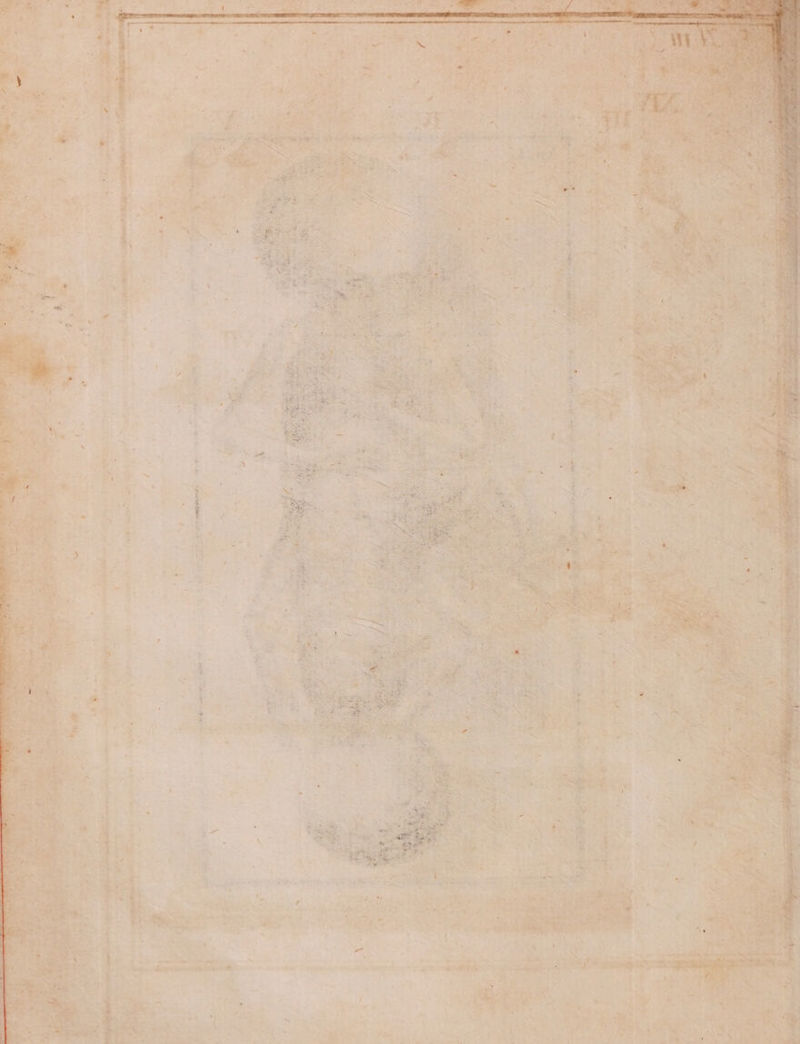 T Yid d m : «c per ena ' N E23 —— s An , 5» ene