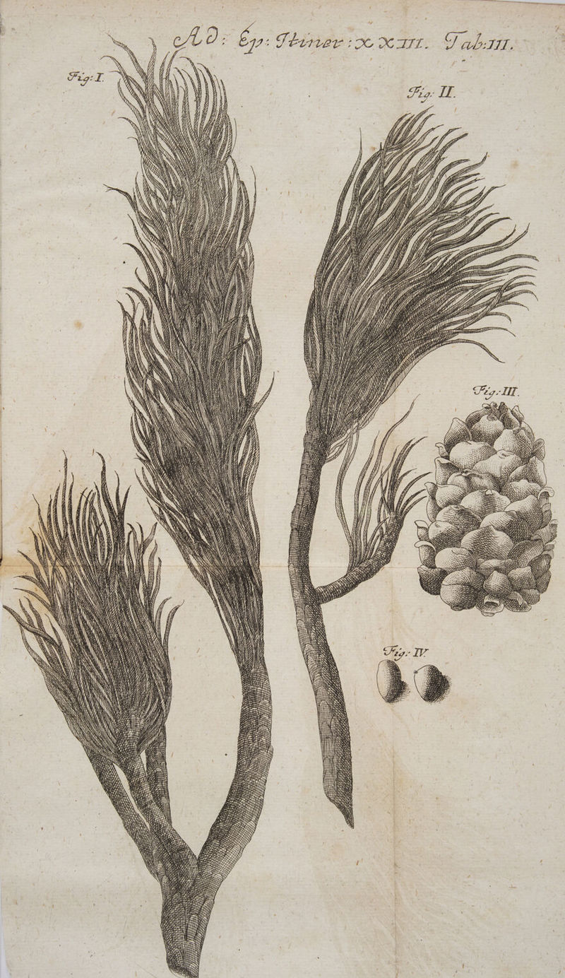 VAM i; 1 - ^ » NM | i; | |  1 e D^ bs 7 e -— - a RS.  im *«  im -—L E Y Iw Le ELT * Qu ru e p a EE rr 2 T. m. 4 cien Ud. ara d EMERA MEC DELATI OIMUST S. OEDMEE S dec. RUPEE RATTIANEUSQGYNGYNMS S. S LRT.LIIITRLL- Crgo 6l) Qo o OD Bn C LEL T. WMLITLINMEPSTAPUNMUUTrS USERS UG ONERE SI TS. cEMAR NT RSS -Y . 4 » 4 - 5  ^ » 1 7 Z D. Um Nm S Ex S NS V SNNGTSNNNSMSIIITOUANNNS RSEN CCS Rm NY M TENE AR M E TU RU : NS RSSREX N NS S S moa eO UNDIS SERO S EE SEEN h l j (i / [j [4 H J  A / 7 ^, j /  , / P (1 , / J, / L^) 7 4, y ca) ARR SS SSSSSRSERNENE SENSN ES N CEST j ————— NEN EE SS ——— CES S SOM —M NN PASOS : ce ESOS RT - CSS ACESC Uem NO NENEN » pe ceo a e x E ó TIN NUN ES 7 e ü ES NE MNT - UEETNECKSCSSMNUS — NNSSUSSUENUM T—-— a: RU 5 Re Ü 7 ES e SITIET JETER Au PE í— s. , IDA E i ——áÓ EU SS k a un re id - — Mo ennt * MEE mm S