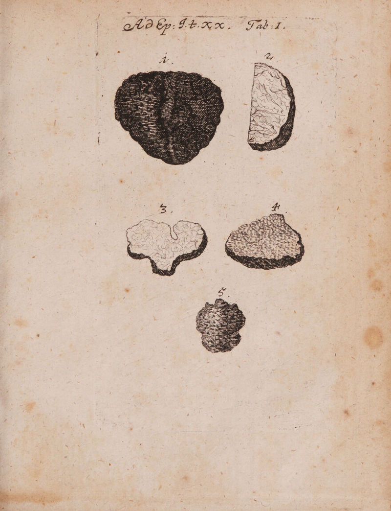 -— -— T / Li -— , in ; ETUR 2 ood E - 2 | 1A U) J- yrs,