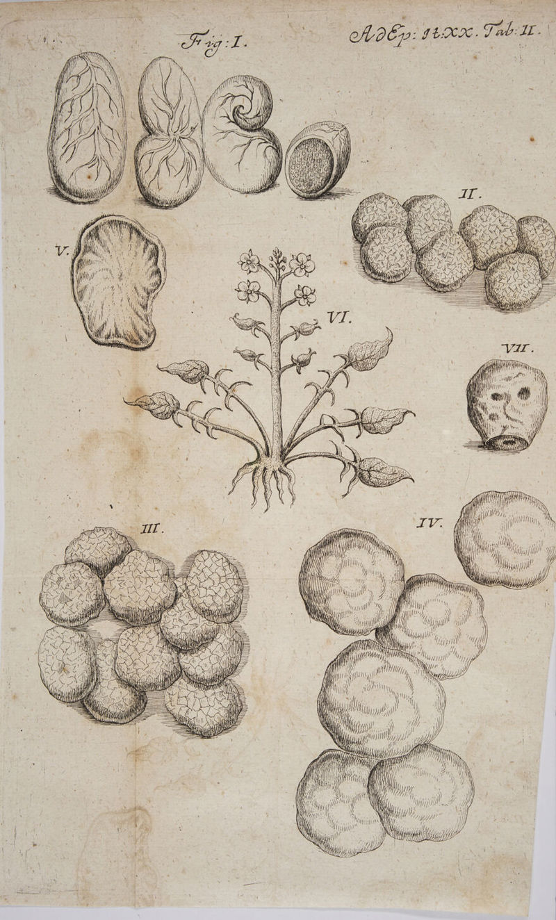 | | dj po |t! en dp coy Para erw Y u ! ph d ; : XN i ( ef : ms eder axe WE um EN lili, y T asa  n M 4 L— s ] ji J——ÀN Ji ed XH d TE Sd RAI Mrs | itii my — UT TTA e as A I atus Nx MANU / ili NSW Wi MES / 4m js i T M D y - |] / , - : P fiai im Lu y 5 I. h | ; 1 : , : í | Vet n E. - | | | | L E: !! à] ji xii. qo É Uu ? / ] * E d ,  3 | PF ind e e d » PA tfl A j es o eco M i y D hs Tn E-NABanH ES Pel IN on ( My J/ BNTAR CIT, f il FINI [Li hu CHOR n —— (M — ———— ———— T d ^ ———————————— Ny. W j! MI i M ltuj iJ MW e nc SON NBI s afl : Bi n vM / à NN l1 m / NN 4 Ww BALDI 13 12) RSS UU / ! / MI LAW W Y Rs LLL MM M MI : , | d y viu Ji. à Z j » M u as BLAN iy | |  ! i! w.CWDPAU UU jt UM m m utn JPN MEI D en NA ANN MU Nu A iL Jn : / SN M 2080 i fri iji 77]] ^ NM , » Tb , N | NU MN f Mun ph, ad m UM TA : 'ijiu : Ü | Rm lh NM : W W up! ^ MT P WIMIy TN VTL / di will ^ M eeu N n Ay NON qs n n IUS NS /, Y y ii NP N J | i f Jh N ili, jy | jh. Jd j Jf lí y d MN uod ii n 1 s |  LY z i ie (s M B i VES  f | SUN ij ftn f : bs ( Ni js n i Ni * f A pU Y SENE N m | A P As ZEN MA DNE Ne / NN ULM AAA EUM N NIA VIVALDI X AMMAN C xia PIA. / (i 5i ini ji me h TTE ho 7, /j / ! id MU) ya * | i