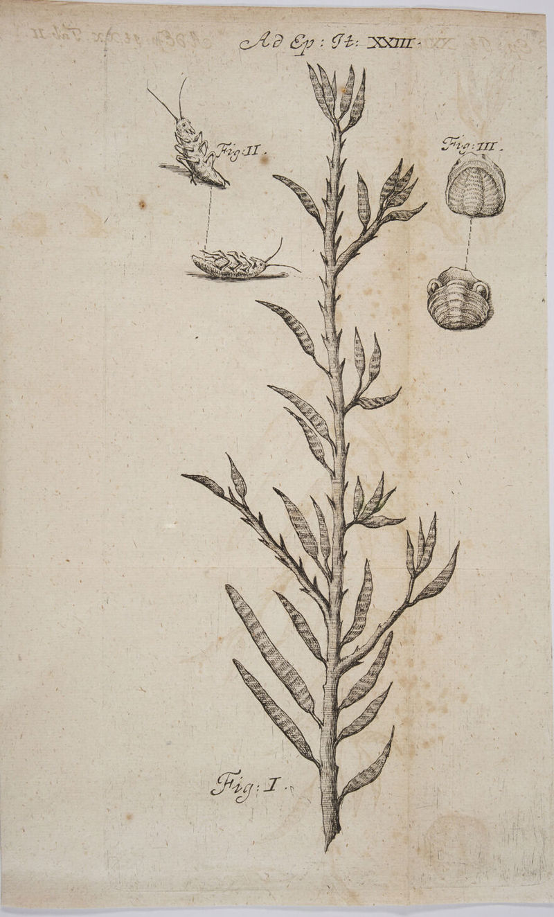 n Í - J 7$ 4 - ; i [ *s, ! SER RENT Y t l A. : ! / , r^ DU xd 9 zx i - ! Jc 1 - LI . &amp; n em E Part , - 1 x E Í  - Za L1 7 WPrXupr prr mw rs io