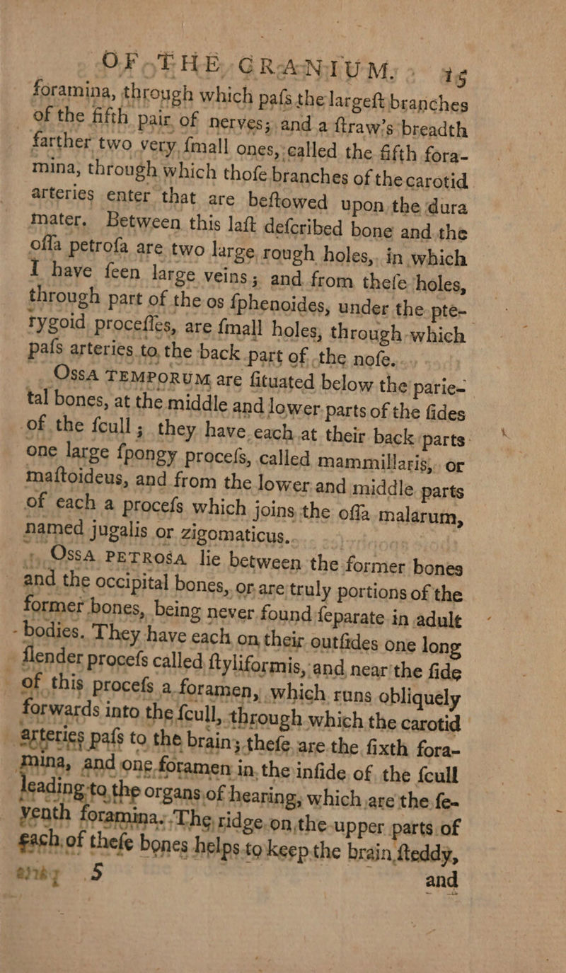 OF oT HE, GRANITUM: > ig foramina, through which pafs the largeft branches of the fifth pair of nerves; and a {traw’s breadth farther two very, {mall ones, called the &amp;fth fora- mina, through which thofe branches of the carotid arteries enter that are beftowed upon the dura mater. Between this laft defcribed bone and. the offa petrofa are two large, rough holes,. in which I have feen large veins; and from thefe holes, through part of the os {phenoides, under the pte- tygoid procefies, are {mall holes, through which pafs arteries to, the back part of the nofe.. Ossa TEMPORUM are fituated below the parie=— tal bones, at the middle and lower- parts of the fides of the feull; they have.each at their back parts: one large fpongy procefs, called mamumillaris;.. or matftoideus, and from the lower.and middle. parts of each a procefs which joins the off malarum, named jugalis or zigomaticus, oak sod +» Ossa PETROgA lic between the former bones _ and the occipital bones, or.are/truly portions of the former bones, being never found feparate in adult - bodies. They have cach on their outfides one long flen der procefs called ftyliformis, an d near'the fide _ of this procefs a foramen, which runs obliquely forwards into the {cull, through which the carotid arteries pafs to the brain; thefe.are.the fixth fora- #ina, and one foramen in, the infide of the {cull cading-ta the organs of hearing, which are'the fe Yeath foramina. ‘The ridge on,the-upper parts of fachiof thefe bones helps to keep the brain teddy, awe 5 and