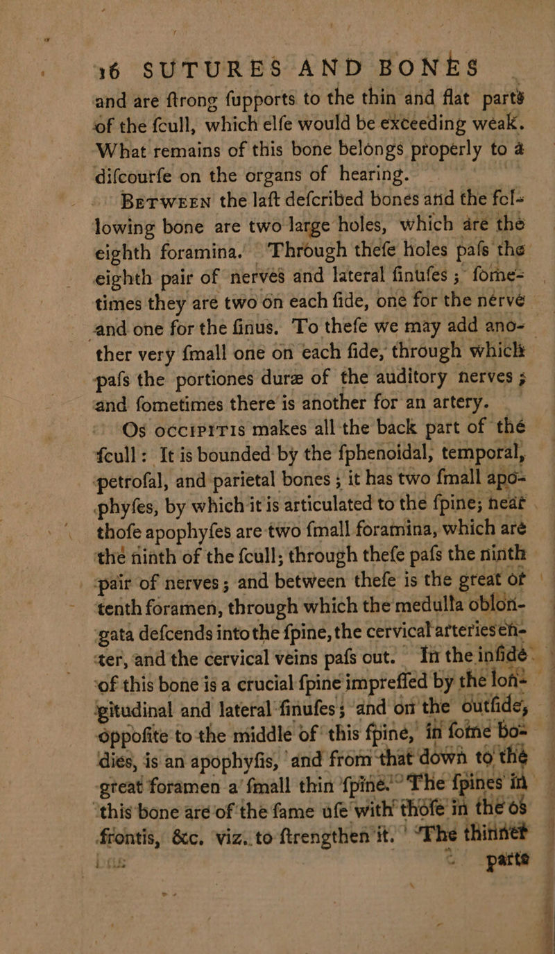 of the fcull, which elfe would be exceeding weak. What remains of this bone belongs properly to 4 difcourfe on the organs of hearing. Tales Between the laft defcribed bones atid the fel- lowing bone are two large holes, which are the eighth pair of nerves and lateral finufes ;- forhe= ther very fmall one on each fide, through whicl pafs the portiones dure of the auditory nerves ; and fometimes there is another for an artery. Os occiprris makes all ‘the back part of thé feull: It is bounded by the fphenoidal, temporal, petrofal, and parietal bones ; it has two {mall apo- thofe apophyfes are two fmall foramina, which are the ninth of the (cull; through thefe pafs the ninth tenth foramen, through which the medulta oblon- gata defcends intothe {pine, the cervical arterieseh- ~ dies, is an apophyfis, and from that down to thé ‘this bone are of the fame ufe with’ thofe in the 68 frontis, &amp;c, ‘Viz..to ftrengthen it. ' “The thinnet Dis ‘¢ parte \ ~