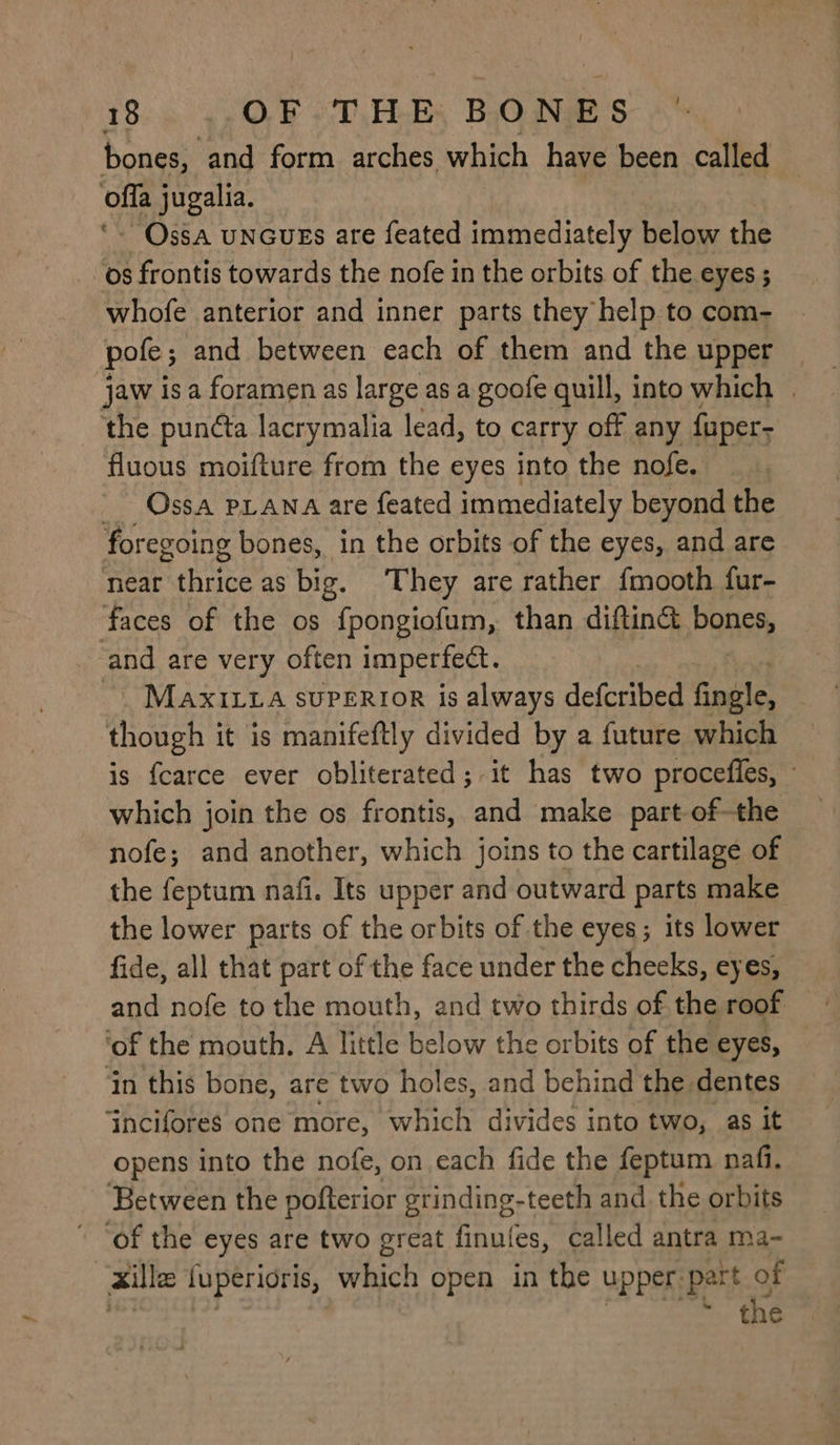 bones, and form arches which have heen called of jugalia. - Ossa UNGUEs are feated immediately below the os frontis towards the nofe in the orbits of the eyes ; whofe anterior and inner parts they help to com- pole ; and between each of them and the upper jaw is a foramen as large as a goofe quill, into which | ‘the punéta lacrymalia lead, to carry off any fuper- fluous moifture from the eyes into the nofe. _ Ossa PLANA are feated immediately beyond the foregoing bones, in the orbits of the eyes, and are near thrice as big. They are rather {mooth fur- faces of the os fpongiofum, than diftind bones, and are very often imperfect. ~ MAXxXILLA suPERIOR is always defcribed fingle, though it is manifeftly divided by a future which is {carce ever obliterated; it has two procefies, which join the os frontis, and make part of-the nofe; and another, which joins to the cartilage of the feptum nafi. Its upper and outward parts make the lower parts of the orbits of the eyes; its lower fide, all that part of the face under the cheeks, eyes, and nofe to the mouth, and two thirds of the roof ‘of the mouth. A little below the orbits of the eyes, ‘in this bone, are two holes, and behind the: dentes Incifores one more, which divides into two, as it opens into the nofe, on each fide the feptum nafi. Between the pofterior grinding-teeth and the orbits ‘of the eyes are two great finufes, called antra ma- xille luperioris, which open in the upper. part of ‘the