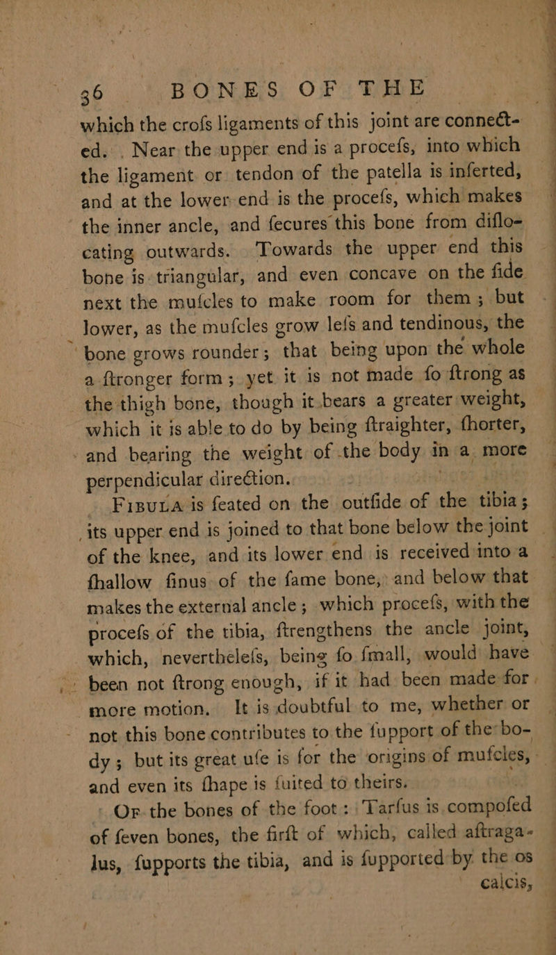 which the crofs ligaments of this joint are connect- ed. . Near the upper end is a procefs, into which the ligament or tendon of the patella is inferted, and at the lower-end is the procefs, which makes the inner ancle, and fecures this bone from diflo- cating outwards. ‘Towards the upper end this bone is triangular, and even concave on the fide next the mufcles to make room for them; but lower, as the mufcles grow lets and tendinous, the a bone grows rounder ; that being upon the whole a ftronger form; yet it is not made fo ftrong as — the thigh bone, though it,bears a greater weight, which it is able to do by being ftraighter, fhorter, and bearing the weight of the body in a. more perpendicular direction. | hoo? sinay Fisuta is feated on the outfide of the tibia; its upper end is joined to that bone below the joint of the knee, and its lower end is received into a fhallow finus of the fame bone, and below that makes the external ancle ; which procefs, with the procefs of the tibia, ftrengthens the ancle joint, _ which, neverthelefs, being fo fmall, would have /» been not ftrong enough, if it had been made for . ‘more motion, It is doubtful to me, whether or not this bone contributes to the fupport of the bo- dy; but its great ufe ts for the origins of mufeles,-_ and even its fhape is {uited to theirs. ie + Or-the bones of the foot: Tarfus is compofed of feven bones, the firft of which, called aftraga- lus, fapports the tibia, and is fupported by the os — ' caleis, 2 4
