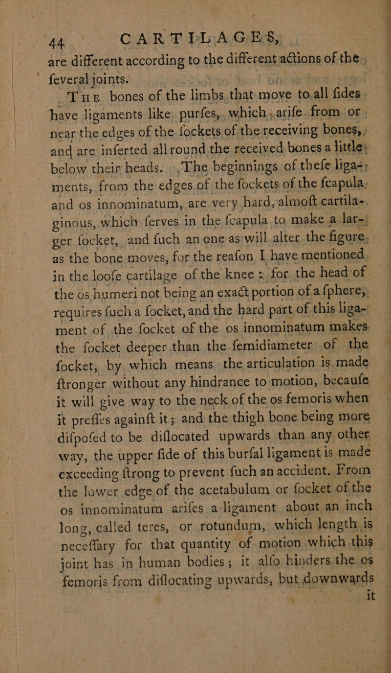 feveral joints. _Tue_ bones of the limbs that move to. all fides . have ligaments like: purfes,. which, arife. from or. near the edges of the fockets of the receiving bones, , and are inferted allround the received bones a little» _ below theirheads. ,The beginnings of thefe liga-, ments, from the edges of the fockets of the fcapula, and os innominatum, are very hard,almoft cartila-. ginous, which ferves in the fcapula to make a lar-) ger focket, and fuch an one as;will.alter the figure. as the bone moves, for the reafon I have mentioned. in the loofe cartilage of the knee : for the head of the os humeri not being an exact portion ofa fphere,, ment of the focket of the os innominatum makes. the focket deeper than the femidiameter of the ftronger without any hindrance to motion, becaufe it will give way to the neck of the os femoris when it prefles againft it; and the thigh bone being more difpofed to be diflocated upwards than any. other, exceeding {trong to prevent fuch an accident. From the lower edge of the acetabulum or focket of the Jong, called teres, or rotundum, which length Js joint has in human bodies; it alfo hinders. the os femoris from diflocating upwards, but downwards 3 Rem ii