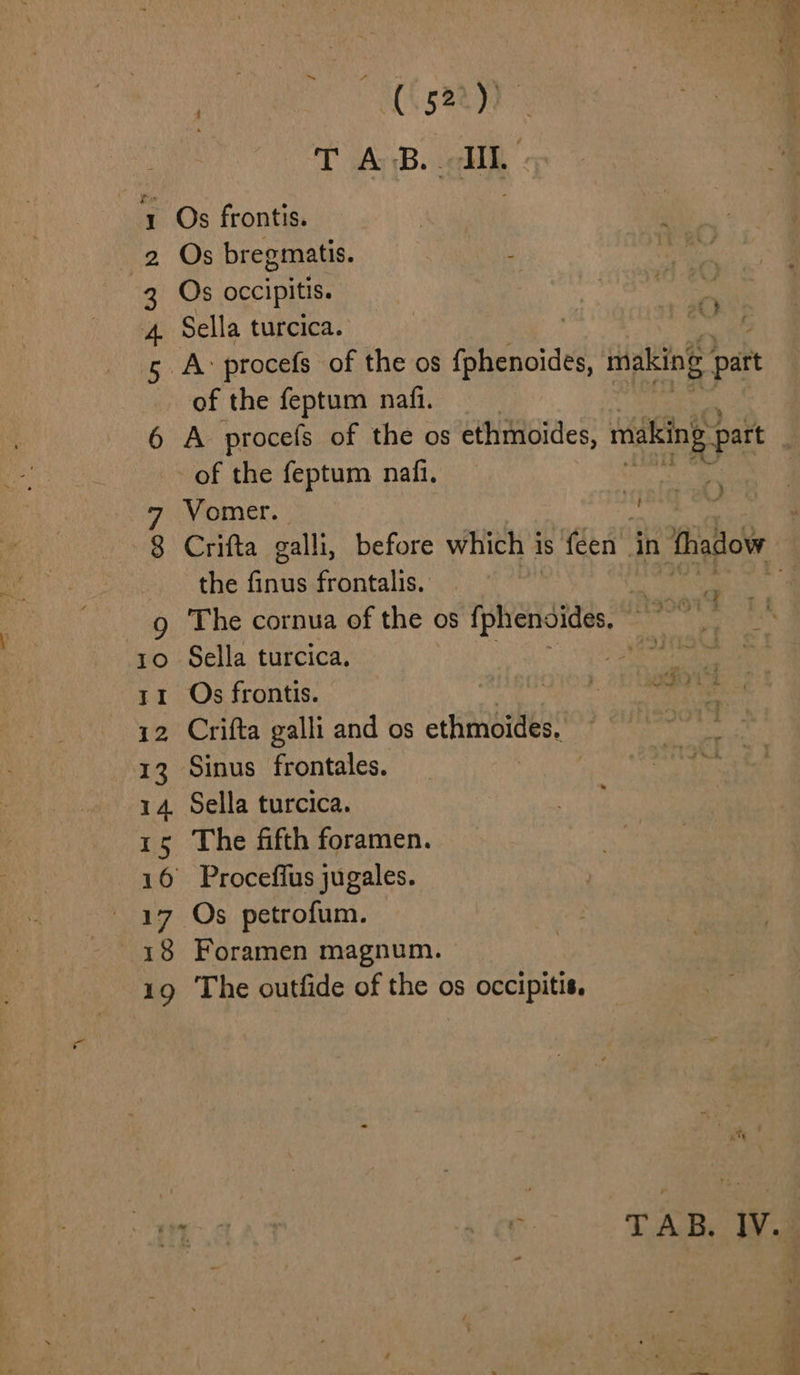 an wn BWP wT 7 : CSR Os bregmatis. , Sella turcica. os of the feptum nafi. A procefs of the os ethmoides, makeing part BR Vomer. bh the finus frontalis. : i The cornua of the os ied sie Sella turcica. epost? Os frontis. Gt. ee Crifta galli and os ethmoides, Sinus frontales. Sella turcica. The fifth foramen. Foramen magnum. The outfide of the os occipitis. oi