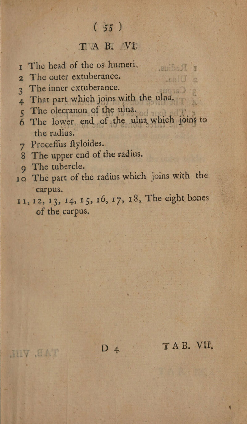 | TAB. VE 1 The head of the os humeri.. 2 The outer extuberance. 3 The inner extuberance. | a 4 That part which joins with the Waar: 5 The olecranon of the ulna... in osama 6 The lower. end. of the ulna which joins to the radius. | are 7 Proceffus ftyloides.. 8 The upper end of the radius. g The tubercle. 10 The part of the radius which joins with the carpus. | : Sioa. L384) 15): 15.275 18, The eight bones of the carpus, | | : D4 TAB. VU,