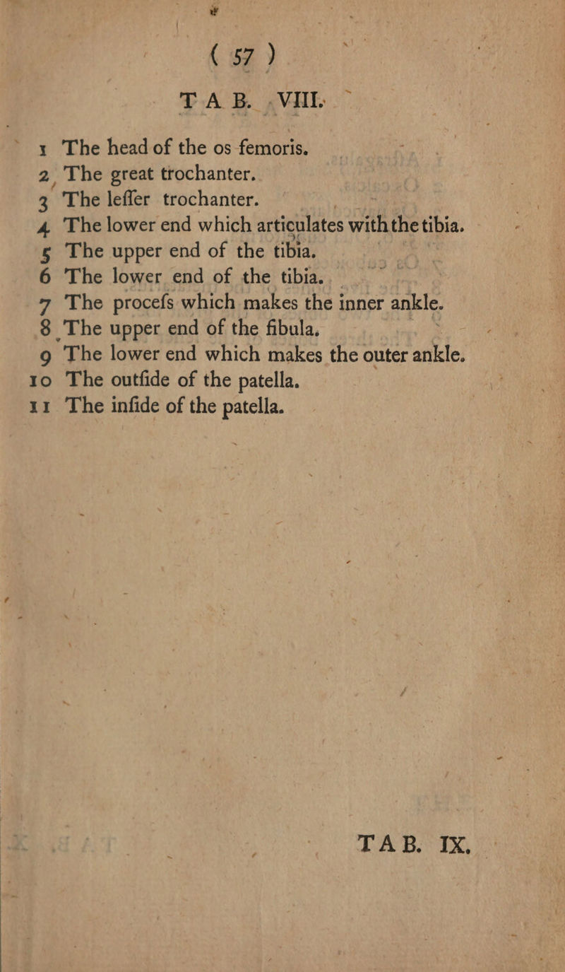 Y ( 57 ) TAB .VAl ” 1 The head of the os femoris. 2, The great trochanter. 3 “The leffer_ trochanter. 4 The lower end which articulates with the tibia. 5 The upper end of the tibia. 6 The lower end of the tibia. 7 The procefs which makes the inner ankle. 8 The upper end of the fibula, 9 The lower end which makes the outer ait: 10 The outfide of the patella. 11 The infide of the patella. TAB. IX,