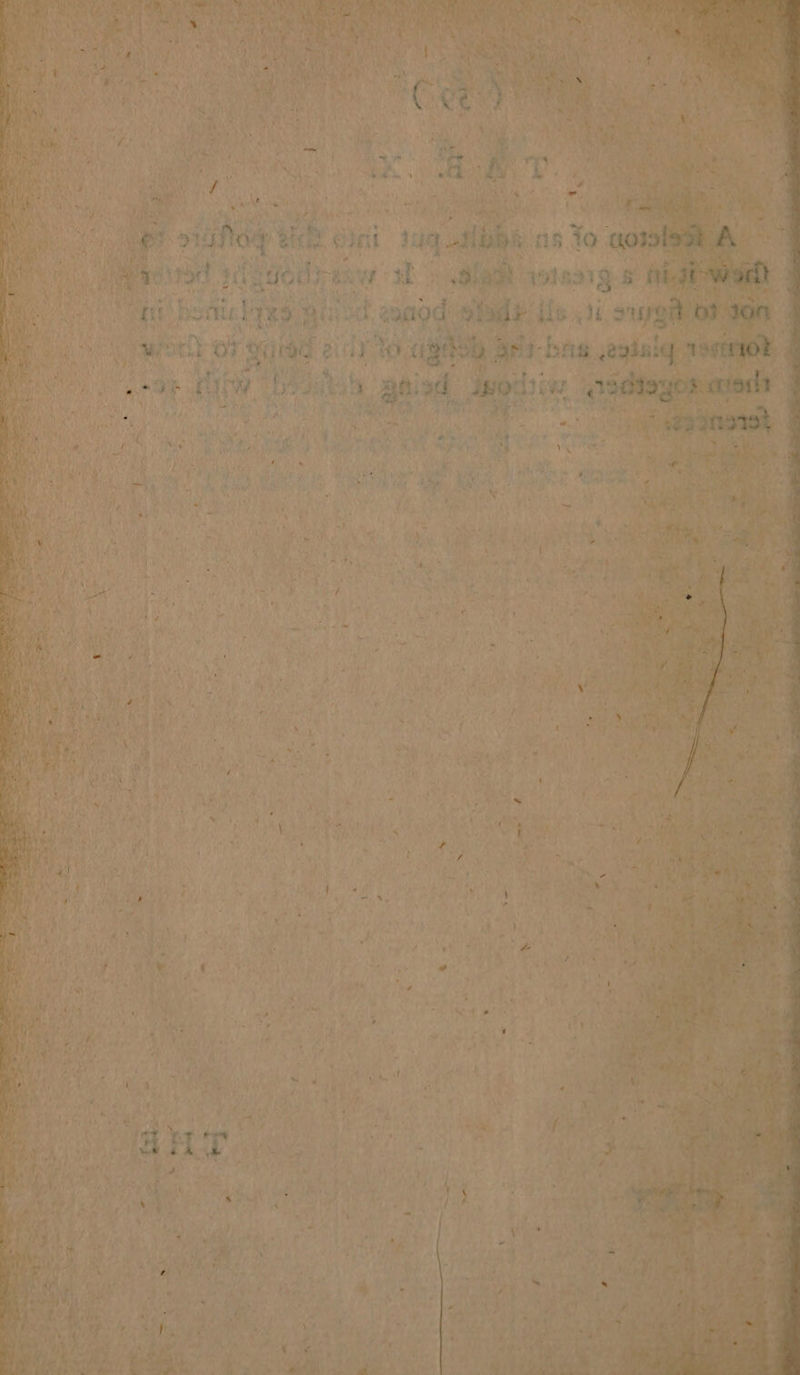 7 ‘ oa ¢ eh werd aN)