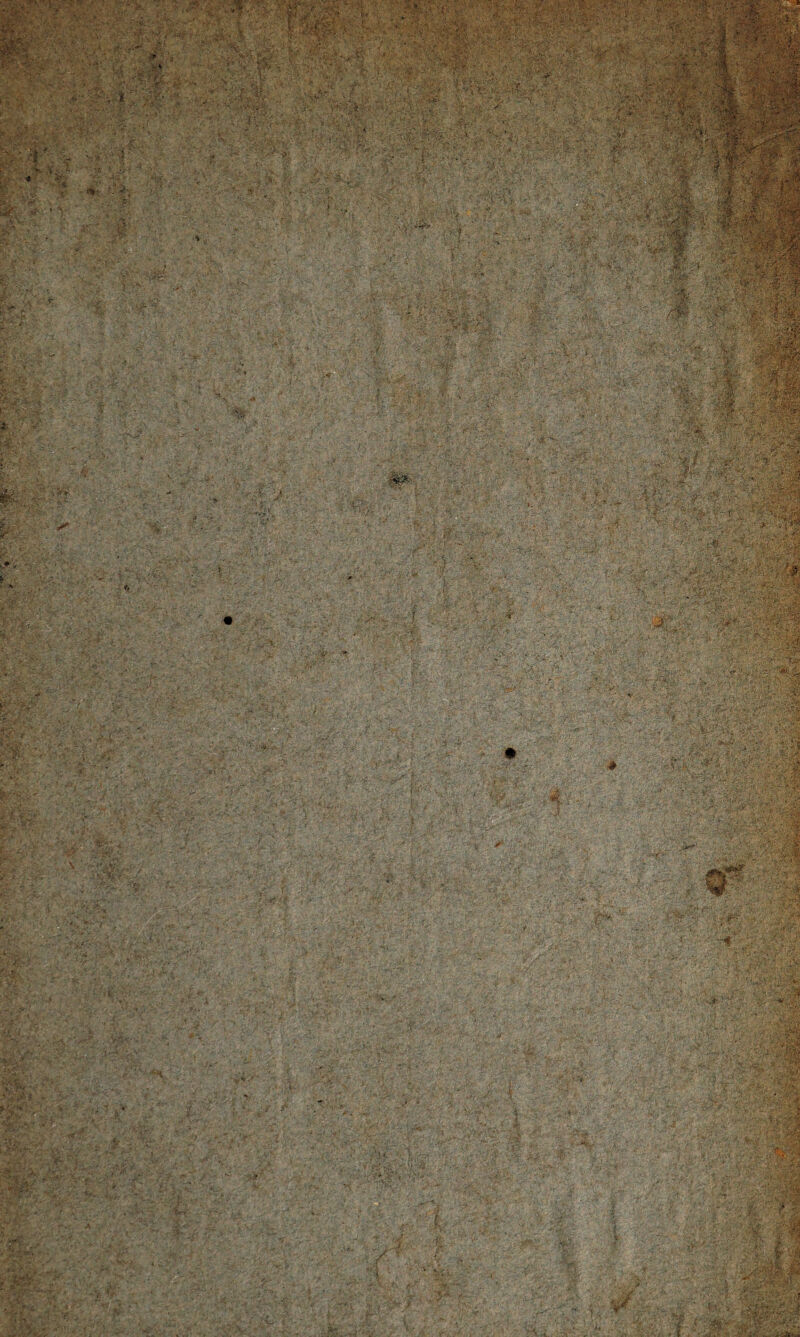 >>'V m j* -.V; .'«■i * .»* V :'.,A - I \ i, ■'« ■■?. >«-Wra2 • c -s Bb4 ; . •;' ->/ ‘ ' • -: \ ? StJjfflHfc o*j ? 444gji •' ;? itrrV vr* ■ ■••■; ■W