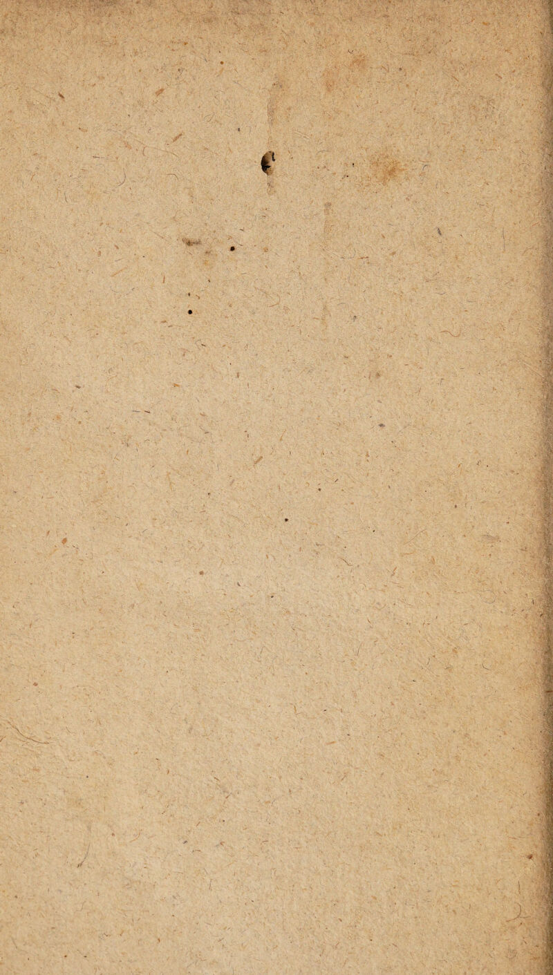 • V . v • •v • ■ '* • ■< ' 7 i . . - f f . ;*/. ) ■ ,v <. ■ ^