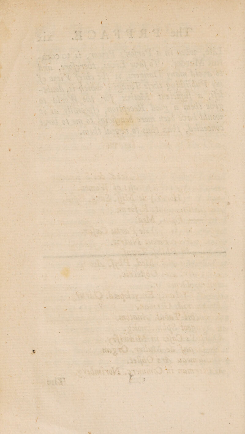 . ; ’ f - - * «*. » -*• ' -• , + A ;■*. a • k , < • / f > .■ 1 ■ ■ / / 1 • I * v « . ■ / ► S . . i «■ > * -i - ■ >* . , ' L  v ‘ y* r'~ * - . . 1 ' *' - ,» ' 1 r