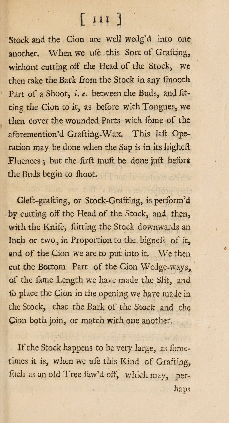 Stock and the Cion are well wedg'd into one another. When we uie this Sort of Grafting, without cutting off the Head of the Stock, we then take the Bark from the Stock in any Imooth Part of a Shoot, i. e. between the Buds, and fit¬ ting the Cion to it, as before with Tongues, we then cover the wounded Parts with lome of the aforemention’d Grafting-Wax. This laft Ope¬ ration may be done when the Sap is in its higheft Fluences •, but the firft inuft be done juft before the Buds begin to flioot, * j y}'* , - , '• Cleft-grafting, or Stock-Grafting, is perform’d by cutting off the Head of the Stock, and then, with the Knife, flitting the Stock downwards an Inch or two, in Proportion to the bignefs of it, r and of the Cion we are to put into it. We then cut the Bottom Part of the Cion Wedge-ways, of the fame Length we have made the Slit, and lb place the Cion in the opening we have made in the Stock, that the Bark of the Stock and the Cion both join, or match with one another. If the Stock happens to be very large, as fbme* times it is, when we uie this Kind of Grafting, \ 1 filch as an old Tree faw’d off, which may, per-