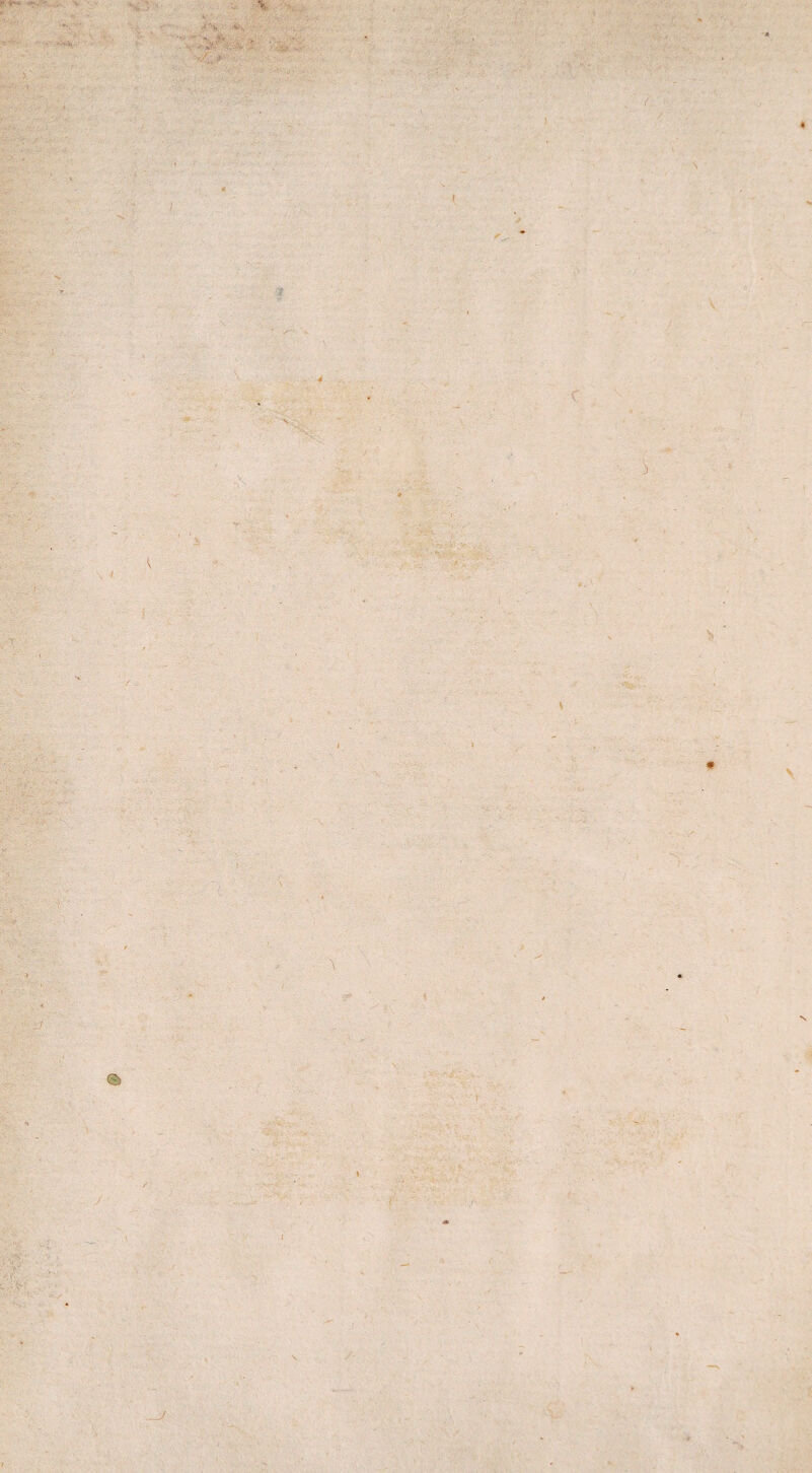 ■'V »- •'/..o . f s ' • C V \