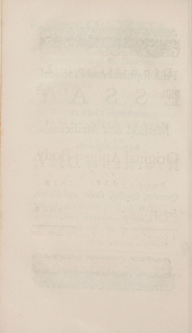 oc, ah OE = ties — eo | ‘ r4 ” 7 Ew FS. A ; > ae, s VAs i eee mlcstetigy (aes os ’ es Maillon bade es