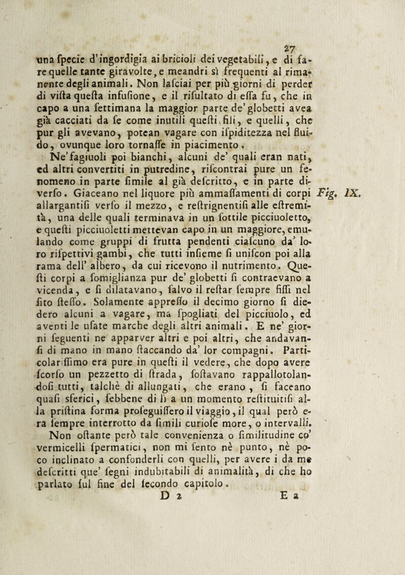 unafpccie d’ingordigia ai bricioli dei vegetabili, e di fa¬ re quelle tante giravolte, e meandri sì frequenti al rima- nente degli animali, Non lafciai per più giorni di perder di villa quella infufione, e il rifultato di efla fu, che in capo a una fettimana la maggior parte de’globetti avea già cacciati da fe come inutili quelli .fili, e quelli, che pur gli avevano, potean vagare con ifpiditezza nel flui¬ do, ovunque loro tornalfe in piacimento, Ne’fagiuoli poi bianchi, alcuni de’ quali eran nati, ed altri convertiti in putredine, rifeontrai pure un fe» romeno in parte limile al già deferitto, e in parte di¬ verta . Giaceano nel liquore più ammadamenti di corpi Fig» IX* allarganti verta il mezzo, e reflrignentifi alle efiremi- tà, una delle quali terminava in un tattile picciuoletto, e quelli picciuoletti mettevan capo in un maggiore, emu¬ lando come gruppi di frutta pendenti ciafcuno da’ lo¬ ro rifpettivi gambi, che tutti infieme fi unifeon poi alla rama dell’ albero, da cui ricevono il nutrimento. Que¬ lli corpi a fomiglianza pur de’ globetti fi contraevano a vicenda, e fi dilatavano, falvo il rellar Tempre fidi nel fito delta. Solamente appredo il decimo giorno fi die¬ dero alcuni a vagare, ma fpogliati del picciuolo, ed aventile ufate marche degli altri animali. E ne’ gior¬ ni feguenti ne apparver altri e poi altri, che andavan- fi di mano in mano fiaccando da’ lor compagni, Parti- colarìflìmo era pure in quelli il vedere, che dopo avere fcorlo un pezzetto di firada, follavano rappallotolan- dofi tutti, talché di allungali, che erano, fi faceano quali sferici, febbene di lì a un momento reftituitifi al¬ la priftina forma profeguidero il viaggio, il qual però e- ra Tempre interrotto da limili curiofe more, o intervalli. Non odante però tale convenienza o fimilitudine co’ vermicelli fpermatici, non mi lento nè punto, nè po¬ co inclinato a confonderli con quelli, per avere i da me defcritti que’ fegni indubitabili di animalità, di che ho parlato lui fine dei fecondo capitolo. D 2 E a