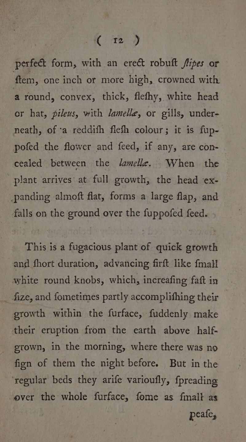 ( 2 ) perfect form, with an erect robuft /tipes or ftem, one inch or more high, crowned with a round, convex, thick, flefhy, white head cr hat, pileus, with lamellz, or gills, under- neath, of ‘a reddith fiefh colour; it is fup- pofed the flower and feed, if any, are con- | cealed between the Jamelia. When the plant arrives at full growth, the head ex- -panding almoft flat, forms a large flap, and falls on the ground over the fuppofed feed. - This is a fugacious. plant of quick growth and fhort duration, advancing firft like fmall white round knobs, which, increafing faft in _ fize, and fometimes partly accomplithing their growth within the furface, fuddenly make their eruption from the earth above half- grown, in the morning, where there was no fien of them the night before. But in the “regular beds they arife varioufly, fpreading ever the whole furface, fome as finall as peale,