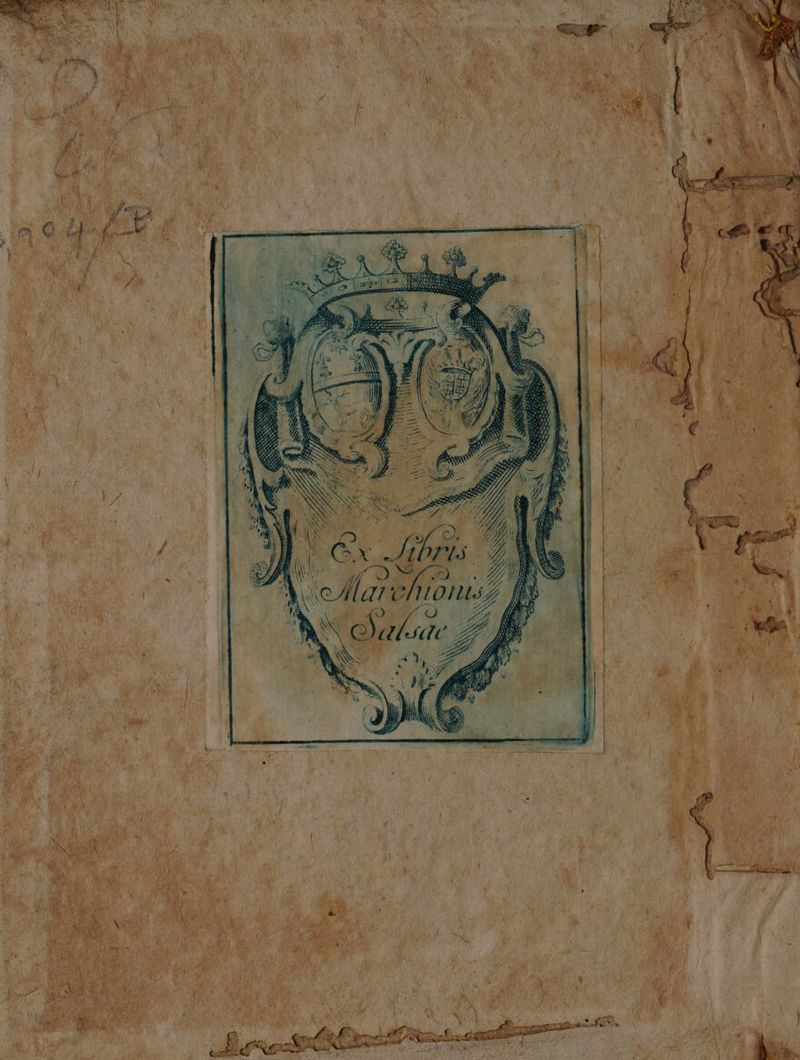 No text description is available for this image