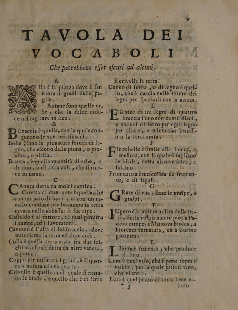 i ti ò Pi vari x ui La w ‘0. Lesa È A ‘fuora ci grani. delle, \pa- Pai fono quelle Di. Sd udc s Che la falce ridu- - “ce nel tagliare in lice 4 î ' A icono le vue nei tinacci. Bolie® Sono le .pionature fottilidi le- «gno, che efcono dalla piona.; 0 10 Pe «nfîo, o pialla. | Branca , &amp;quella:quantità di erbe, o di lino; 0 di altra cofa che dia rice- ‘ve in mano “RI lo | prote denti da molti cantina : ‘Caretta di due ruote è quella,che — con un paio. di buoi 3,0; con'un ca- - vallo conduce:perlo.campo la terra - | cavata nello abbaflar le fue ripe . . Caftaldosè il fattore, il qual governa - A campi,ed i i lavoratori . Cavezzo è l’ afta di fei.braecia, “dove | mifuriamo la terra edaltre cofe. Colla è quella terra arata fra due (ol! chi maeftrali detta da altri vaneza, ‘ porca. Coppo per mifurarei grani , è 1] quar= to a mifura di una quarta . Crivello è quello col quale fi netta- mo le biade , e quello che è di ferro È iP LE fi AE la” terri; , lo, che fi Lacdfa nelle fiffuîre “dei - legni api Pi con HE mazza, prviee ‘di tre degni : cdi liaoterd braccia l'uno con'denti!diéci , ‘o undeci di’ferro per ogni'legno ‘per tirare, e ‘minucciar:benilli mo la terra arata4 00] F Tocchello è fimile'alla fiocca, 0 meflora, con la qualefì “sa la0d ‘de biade', detta altrove falce; 3 falcino . Frumentata è mefcotiza di feratier- to, e di fagala. | v Rate di vua ; fonole graipe, o *gtalpia: pr16g 1 quo CRETE rr ta dira fiofira della tere 12) detta volgarmente piò;'a Pa» dova-campò, # Mshtova biolea ;.a ‘Fiorenza tornatura 8; pa a! Turino SO OA è, sp i Fabre lamezia 4 ‘che ‘produce il lino :Lora'è quel! valo; chéfi pone fopra i!  vafelli} perla quale paffail vino, ‘che vi‘entra. Lota è quel pezzo dittetra benerer- dure; bofo