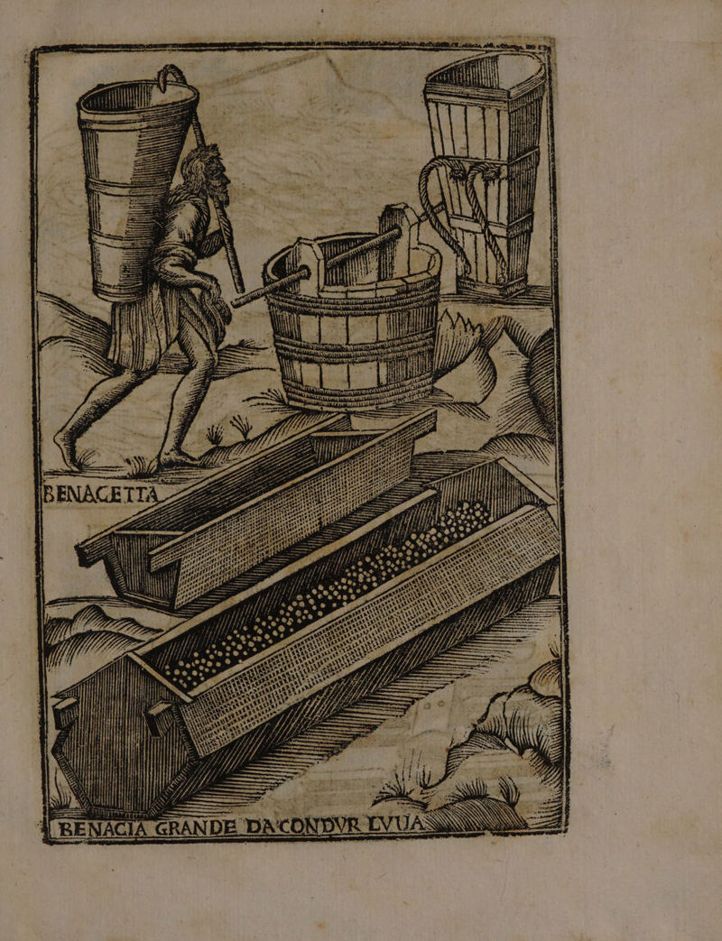 Ù DIA ri sai, tal, atte ; al i lui É Hot: VE stGi tto i A s. VAS d ta oe Li 4 uan PE dana ARE | i ACIA_GI È VREVII