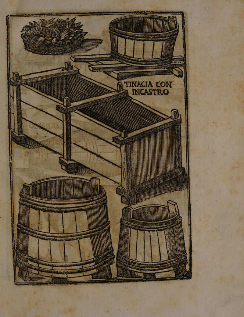 ASAFUTTA Mtv CI LAI Ù î (e_=ìa Me) A (fi Wim TARARE E ASTA