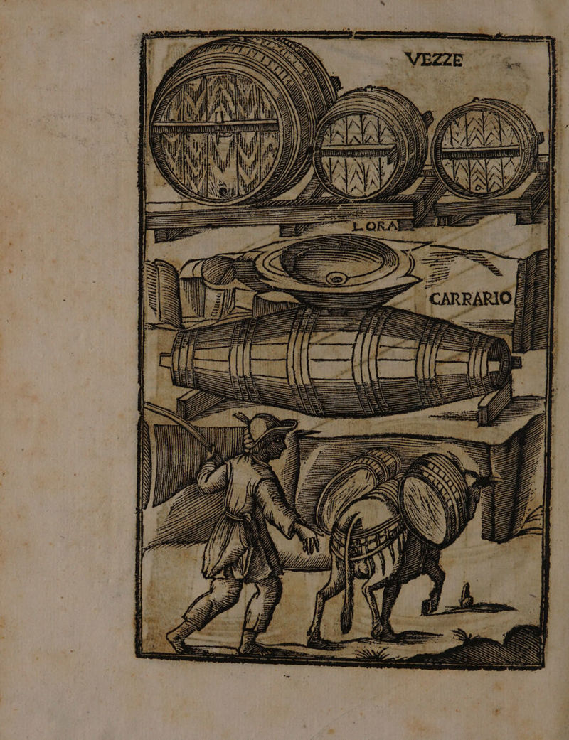 MULLLA 9 ì Di I GS Ù =; n I prot 7