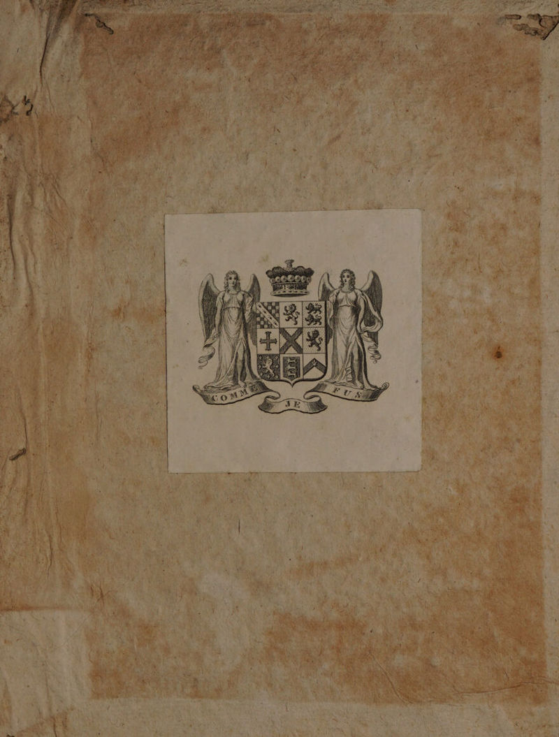 \ \N \ Pet FI; (da 7