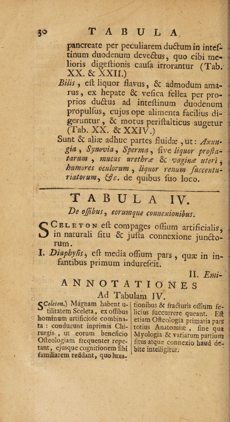 pancreate per peculiarem ductum in intef- tinum duodenum deveftus, quo cibi me¬ lioris digeltionis caufa irrorantur (Tab. i XX. & XXII.) Bilis , e it liquor flavus, & admodum ama- ■ rus, ex hepate & veiica fellea per pro- ■ prios dudtus ad inteflinum duodenum t: propulfus, cujus ope alimenta facilius di- • geruntur, £c motus periftalticus augetur i (Tab. XX. & XXIV.) Sunt & alia: adhuc partes fluida;, ut: Axun- I gia , Synovia, Sperma, five liquor profta- • tarum 5 mucus urethra vaginu? uteri $ i humores oculorum , liquor renum fuccentu- * viatorum, &c. de quibus luo loco. tabula I V. De ojjibus ^ e orumque connexionibus. SCeleton eft compages offium artificialis* in naturali litu julla connexione juncto¬ rum . I. JDiaphysi elt media offium pars 5 quse in in- I fantibus primum indurefeit. II. Emi- - annotationes Ad Tabulam IV. CCeleton.) Magnam habent u- tilitatem Sceleta, exoffibus hominum artificiofe combina¬ ta : conducunt inprimis Chi¬ rurgis , ut eorum beneficio Ofteologiam frequenter repe¬ tant, ejusque cognitionem fibi familiarem reddant, quo luxa¬ tionibus & fra&uris offium fe¬ licius fuccurrere queant. Eft i etiam Ofteologia primaria pars j totius Anatomiae , fine qua Myologia & variarum partium litus atque connexio haud de¬ bite intelligitiir,- I V