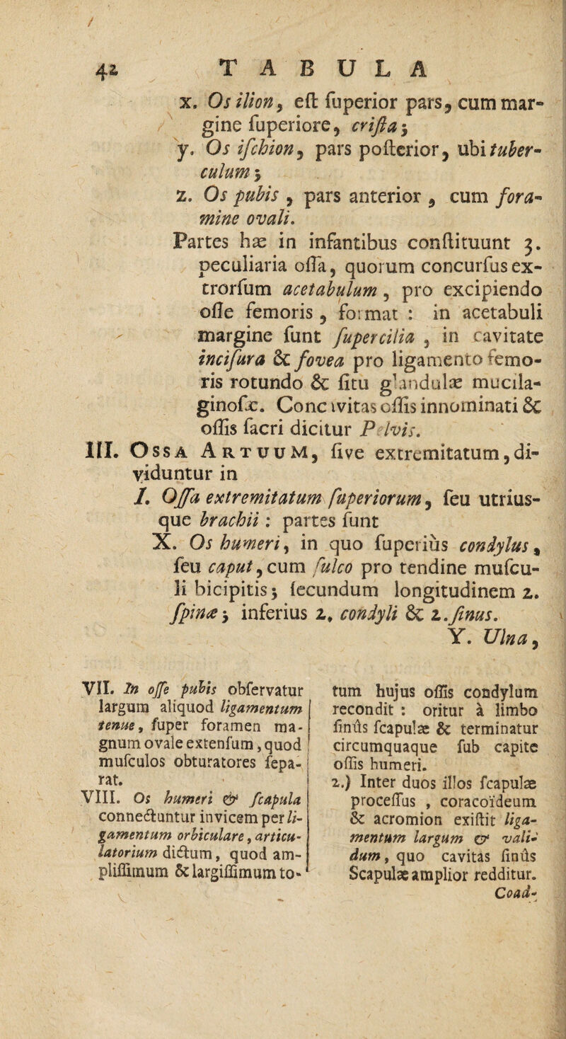 x. Osilion, eft fuperior pars, cum mar¬ gine fu peri ore 5 crifta j y. Os ifchion, pars poftcrior, ubi tuber¬ culum 5 z. Os pubis , pars anterior , cum fora¬ mine ovali. Partes has in infantibus conflituunt 3. peculiaria olla, quorum concurfusex- trorfum acetabulum 5 pro excipiendo ofle femoris , format : in acetabuli margine funt fupercilia 5 in cavitate incifura & fovea pro ligamento remo¬ ris rotundo & fitu gbindultc mucila- ginofc. Cone ivitas offis innominati & offis facri dicitur P his. III. Ossa Artuum, (ive extremitatum,di¬ viduntur in 1. Offa extremitatum fuperiorum, feu utrius- que brachii: partes funt X. Os humeri, in quo fupctiiis condylus % feu caput,cum rulco pro tendine mufeu- li bicipitis 5 fecundum longitudinem 2,. fpin<e-> inferius z, condyli 8c z.finus. Y. Ulna, VII. ite 0^ obfervatur largum aliquod ligamentum tenue, fuper foramen ma¬ gnum ovale extenfum, quod mufculos obturatores fepa- rat. VIII. Os humeri & fcapula conne&untur invicem per li¬ gamentum orbiculare, articu- latorium diftum, quod am- pliffimum &largiffimumto» tum hujus offis condylum recondit : oritur a limbo fintis fcapulse & terminatur circumquaque fub capite offis humeri. 2.) Inter duos illos fcapulae proceffius , coracoideum & acromion exiftit liga¬ mentum largum ct' vali¬ dum, quo cavitas finds Scapulae amplior redditur. Coad- _ j