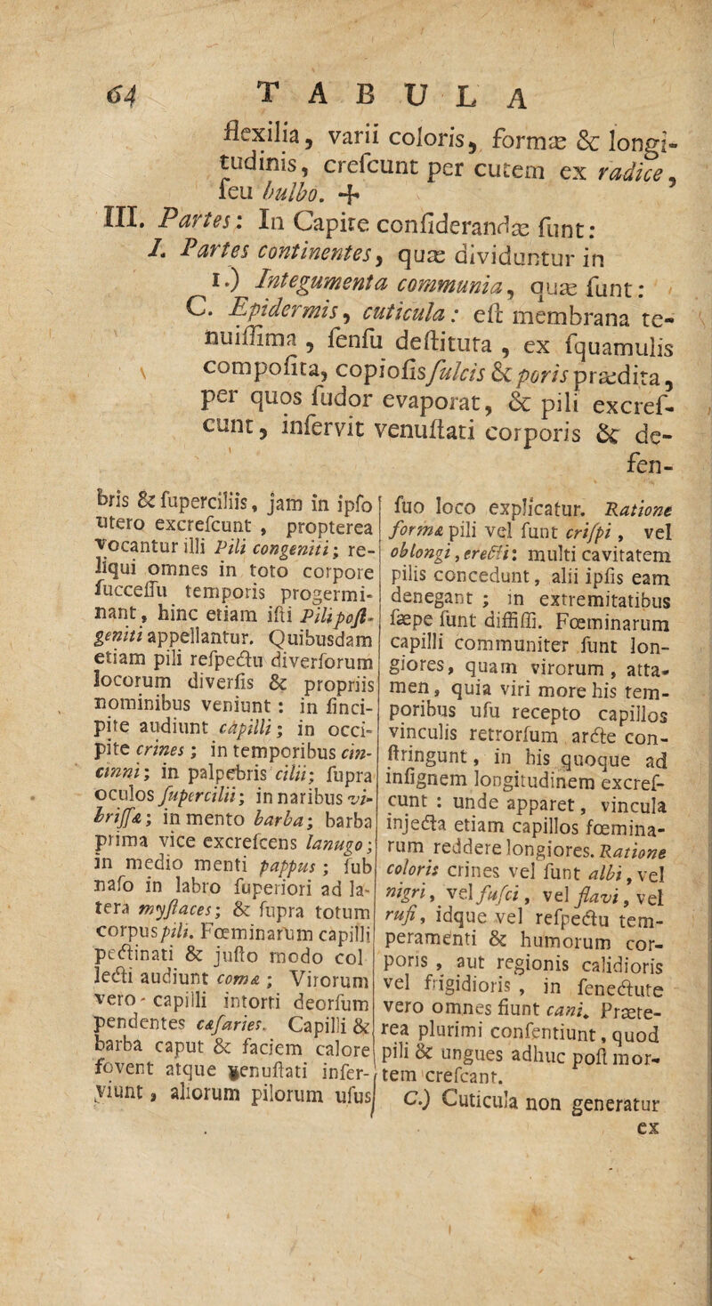 flexilia, varii coloris, formae & longi¬ tudinis, crefcunt per cutem ex radice, ieu bulbo. + IIX. P arte i; Xn Capite ccnfidcran^se funt; I* 1 aites contiviCYitcsy q ure dividuntur in i *) IvitcfuyfteHta communia, ouseXuntr C. Epidermis, cuticula: efc membrana te- nuiffirnu 5 fenfii deditura , ex fquamulis \ compofita, copiofis/^/m&c perisprodita, pei quos i udor evaporat, & pili excref- eunt 5 infervit venufiati corporis £c de- fen- t?ris & fuperciliis, jam in ipfo utero excrefcunt , propterea vocantur illi Pili congeniti; re¬ liqui omnes in toto corpore fucceffu temporis progermi» nant, hinc etiam iffci Pilipoft, geniti appellantur. Quibusdam etiam pili refpedu diverforum locorum diverfis Sc propriis nominibus veniunt: in finci- pite audiunt capilli; in occi¬ pite crines; in temporibus cin¬ cinni; in palpebris cilii; fupra oculos fuper cilii; in naribus vi- briffa; in mento barba; barba prima vice excrefcens lanugo; in medio menti pappus; fub nafo in labro fuperiori ad la- tera myfi aces; & fupra totum corpus pili. Fceminarum capilli pectinati & jufto modo coi ledi audiunt coma ; Virorum vero'capilli intorti deorfum pendentes c&faries. Capilli & barba caput & faciem calore fovent atque fcenuflati infer¬ ciunt a aliorum pilorum ufus fuo loco explicatur. Ratione forma pili vel funt cri/pi, vel oblongi, eretti: multi cavitatem pilis concedunt, alii ipfis eam denegant ; in extremitatibus fsepe funt diffiffi. Fceminarum capilli communiter funt lon¬ giores, quam virorum, atta* men, quia viri more his tem¬ poribus ufu recepto capillos vinculis retrorfum arde con- ftringunt, in his quoque ad infignem longitudinem excref- cunt : unde apparet, vincula injeda etiam capillos foemina- rum reddere longiores. Ratione coloris crines vel funt albi,xd nigri, _ vel fufei, v el flavi, v el rufi, idque vel refpedu tem¬ peramenti & humorum cor¬ poris , aut regionis calidioris vel f:igidioris , in fenedute vero omnes fiunt cani. Pme- rea plurimi confentiunt, quod pili & ungues adhuc pofi mor¬ tem crefcant. C.) Cuticula non generatur ex