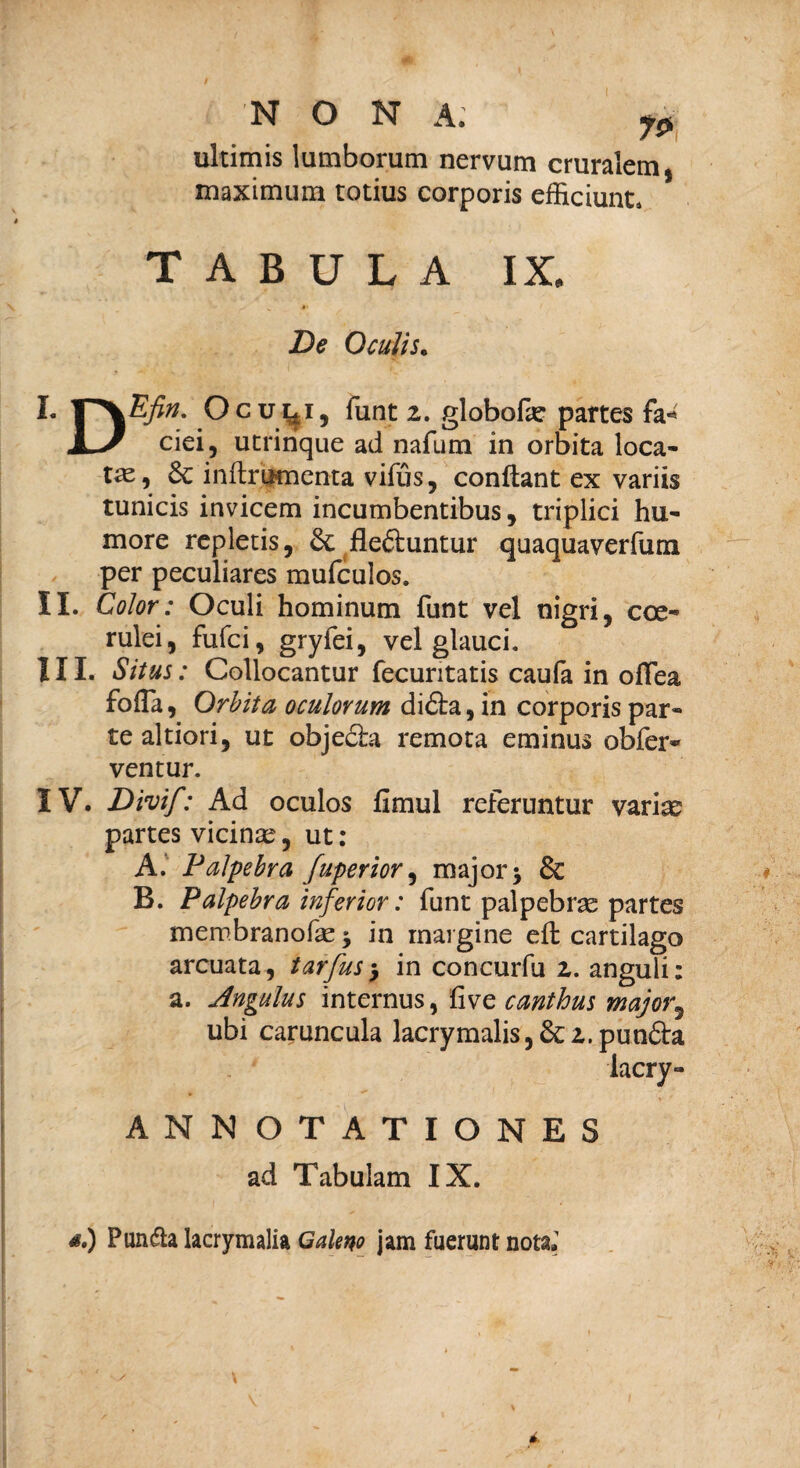 NON A. ultimis lumborum nervum cruralem, maximum totius corporis efficiunt. TABULA IX» De Oculis. I. Ocuy, funt 2. globofe partes fa^ dei, utrinque ad nafum in orbita loca¬ ta, 6c inftriHnenta vifus, conflant ex variis tunicis invicem incumbentibus, triplici hu- more repletis, & fleftuntur quaquaverfum per peculiares mufculos. II. Color: Oculi hominum funt vel nigri, coe¬ rulei, fufci, gryiei, vel glauci. III. Situs: Collocantur fecuritatis caufa in oflea folTa, Orbita oculorum di<5ta, in corporis par¬ te altiori, ut objecla remota eminus obfer* ventur. IV. Divi/: Ad oculos fimul referuntur variae partes vicinae, ut: A. Palpebra fuperior^ major; & B. Palpebra inferior: funt palpebras partes membranolk; in margine efl cartilago arcuata, tarfusy in concurfu 2. anguli: a. Angulus internus, five canthus major, ubi caruncula lacrymalis, &2. pun£la lacry- ANNOTATIONES ad Tabulam IX. 4f.) Pun&a lacrymalia Galeno jam fuerunt nota»