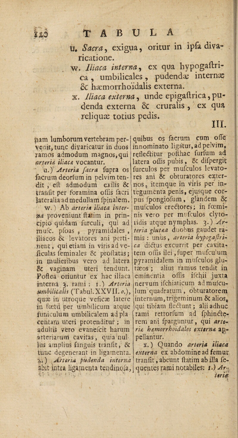 U# Sacra, exigua, oritur in ipia diva- ricatione. w» Iliaca interna, ex qua hypogaffcri- ca , umbilicales , pudendas internas & hsemorrhoidalis externa. x. Iliaca externa, unde epigaftrica,pu¬ denda externa & cruralis 5 ex qua reliquas totius pedis. III. fiam lumborum vertebram per¬ venit* tunc divaricatur in duos ramos admodum magnos, qui arteria iliaca vocantur. ' u.) Arteria [aera fupra os facrum deorfum in pelvim ten¬ dit , eft admodum exilis &: tranfit per foramina offis facri lateralia ad medullam fpinalem. w.) Ab arteria iliaca inter¬ na proveniunt ftatim in prin¬ cipio quidam furcuii, qui ad jnufc. pfoas , pyramidales , iliacos & levatores ani perti¬ nent, qui etiam in viris ad ve- iiculas feminales & proflatas; in mulieribus vero ad latera & vaginam uteri tendunt. Poftea oriuntur ex hac iliaca interna 3. rami : 1.) Arteria umbilicalis (Tabui. XXVII. <?.), qiix in utroque veficae latere 111 fuetti per umbilicum atque funiculum umbilicalem ad pia centafn uteri protenditur; in adulti§ vero evanefeit harum •arteriarum cavitas, quiaffiul- liis amplius fanguis tranfit, & tunc degenerant in ligamenta. %■>) Arteria pudenda interna abit intra ligamenta tendinofa, quibus os facrum cum offe innominato ligatur, ad pelvim, rqfledtitur pofthac furfum ad latera offis pubis, 8c difpergit furculos per mufculos levato¬ res ani &; obturatores exter¬ nos, itemque in viris per in¬ tegumenta penis, ejusque cor¬ pus fpongiofum, glandem & mufculos ere&ores; in foemi- nis vero per mufculos clyto- lidis atque nymphas. 3.) Ar¬ teria glut&a duobus gaudet ra¬ mis : imus , arteria hypogaftri¬ ca didtus excurrit per cavita¬ tem offis ilei ,fuper mufculum pyramidalem in mufculos glu- tseos ; alius farnus tendit in 'eminentia offis ifchii juxta nervum ifchiaticum admufeu- lum quadratum, obturatorem internum,trigeminum & alios, qui tibiam fledhmt; alii adhuc rami retrorfum ad fphintfte- rem ani fparglmtur, qui arte¬ ria b&morrhoidales externa ap¬ pellantur. x.) Quando arteria iliaca externa ex abdomine ad femur tranfit, abeunt ftatim ab illa fe- quentes rami notabiles; f.) Ar~ ' 1 1 • > ' v‘ *1 '  itrtffi.