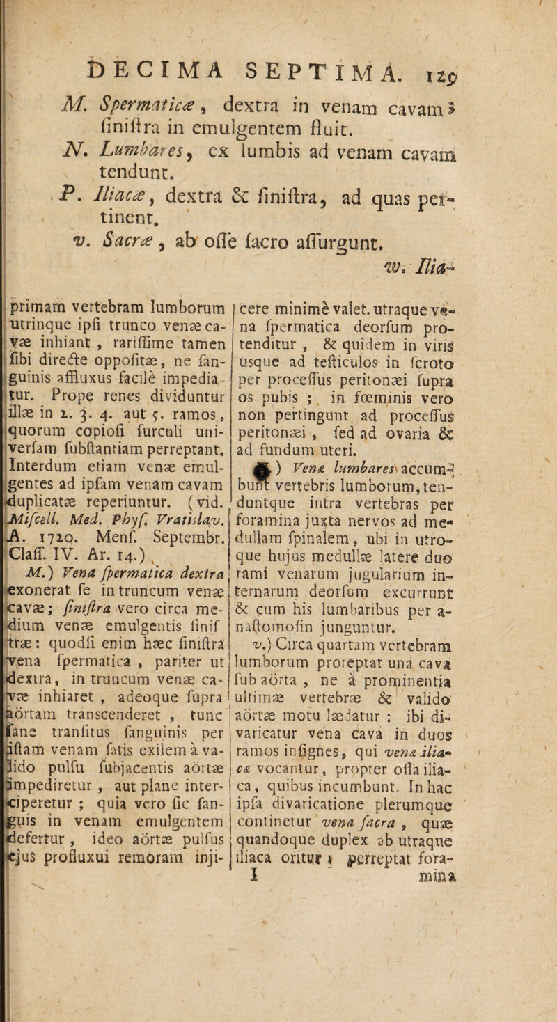 M. Spermatica, dextra in venam cavam» flniflra in emulgentem fluit. N. Lumbares, ex lumbis ad venam cavam tendunt. P. Iliae#, dextra finiitra. ad quas per¬ tinent. v. Sacra, ab ofle facro aflureunt. w. Ilia- primam vertebram lumborum utrinque ipfi trunco vense ca¬ vae inhiant , rariffime tamen fibi diredle oppolitae, ne fan- guinis affluxus facile impedia tur. Prope renes dividuntur illae in i. 3. 4. aut ramos, quorum copiofi furculi uni- verfam fubftantiam perreptant. Interdum etiam venae emul¬ gentes ad ipfam venam cavam -duplicatae reperiuntur. (vid. JMifcell. Med. Phyf Vratislav. Ji. 1720. Menf. Septembr. Claff. IV. Ar. 14.) , M.) Vena fpermatica dextra exonerat fe in truncum venae cavae; (imftra vero circa me¬ dium venae emulgentis finif trie: quodfi enim haec limftra •vena fpermatica , pariter ut dextra, in truncum venae ca¬ vae inhiaret , adeoque fupra aortam transcenderet , tunc jTane tranlitus fanguinis per 'fiam venam fatis exilem a va- ido pulfu fubjacentis aortae Impediretur , aut plane inter¬ ciperetur ; quia vero fic fan- guis in venam emulgentem defertur , ideo aortae pulfus ejus profluxui remoram inji¬ cere minime valet, utraque v^« na fpermatica deorfum pro¬ tenditur , & quidem in viris usque ad tefticulos in feroto per proceffus peritonaei fupra os pubis ; in foeminis vero non pertingunt ad procedus peritonaei , fed ad ovaria 6c ad fundum uteri. £) Vena lumbares accum¬ bunt vertebris lumborum, ten- duntque intra vertebras per foramina juxta nervos ad me¬ dullam fpinalem, ubi in utro¬ que hujus medullae latere duo rami venarum jugularium in¬ ternarum deorfum excurrunt & cum his lumbaribus per a- naftomodn junguntur. v.) Circa quartam vertebram lumborum proreptat una cava fub aorta , ne a prominentia ultimae vertebrae & valido aortae motu laedatur : ibi di¬ varicatur vena cava in duos ramos inlignes, qui vena ilia¬ ca vocantur, propter olla ilia¬ ca, quibus incumbunt. In hac ipfa divaricatione plerumque continetur vena facra , quae quandoque duplex ab utraque iliaca oritur 1 perreptat fora- I mina