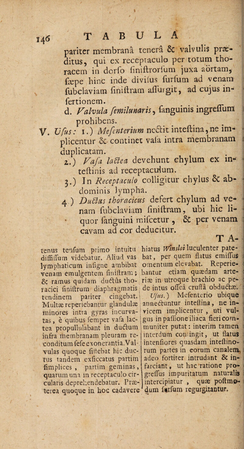 pariter membrana tenera £c valvulis pro¬ ditus, qui ex receptaculo per totum tho¬ racem in dorfo {iniftrorium juxa aortam, fepe hinc inde diviius furfum ad venam fubclaviam finiftram affui git, ad cujus in- 1 fertionem. d. Valvula femilunaris, fanguinis ingreffum prohibens. V. Vfus: i.) Mefenterium ne&it inteftina,ne im- j plicentur continet vala intra membianam i duplicatam. 2. ) Vafa lattea devehunt chylum ex in- j teftinis ad receptaculum. 3. ) In Receptaculo colligitur chylus & ab- • dominis lympha. 4 ) Duftus thoracicus defert chylum ad ve- j nam fubclaviam finiftram, ubi hic li- j quor fanguini mifcetur , 6c per venam cavam ad cor deducitur. T A- tenus tenfum primo intuita diffiiTum videbatur. Aliud vas lymphaticum infigne ambibat venam emulgentem finiftram; & ramus quidam dudtus tho¬ racici finiftrum diaphragmatis j tendinem pariter cingebat, j Multae reperiebantur glandulae minores intra gyras incurva-' tas, e quibus femper vafa lac¬ tea propullulabant in dudum infra membranam pleuram re¬ conditum fefe exonerantia. Vah vulas quoque fuiebat hic duc¬ tus tandem exficcatus partim iimplices , partim geminas, quarum una in receptaculo cir¬ cularis deprehendebatur. Prae¬ terea quoque in hoc cadavere hiatus Winsloi luculenter pate¬ bat, per quem flatus emiflus omentum elevabat. Reperie¬ bantur etiam quaedam arte¬ riae in utroque brachio ac pe¬ de intus odea crufta obdudtae. Ujus.) Mefenterio ubique annedfuntur intellina, ne in¬ vicem implicentur , uti vul¬ gus in paffione iliaca fiericom- 1 muniter putat: interim tamen interdum condngit, ut flatus intenfiores quasdam inteftino- 1 rum partes in eorum canalem,. I adeo fortiter intrudant & in¬ farciant, uthaoratione pro- grefTus impuritatum naturalis intercipiatur , quae poftme- dum ftirfum regurgitantur.