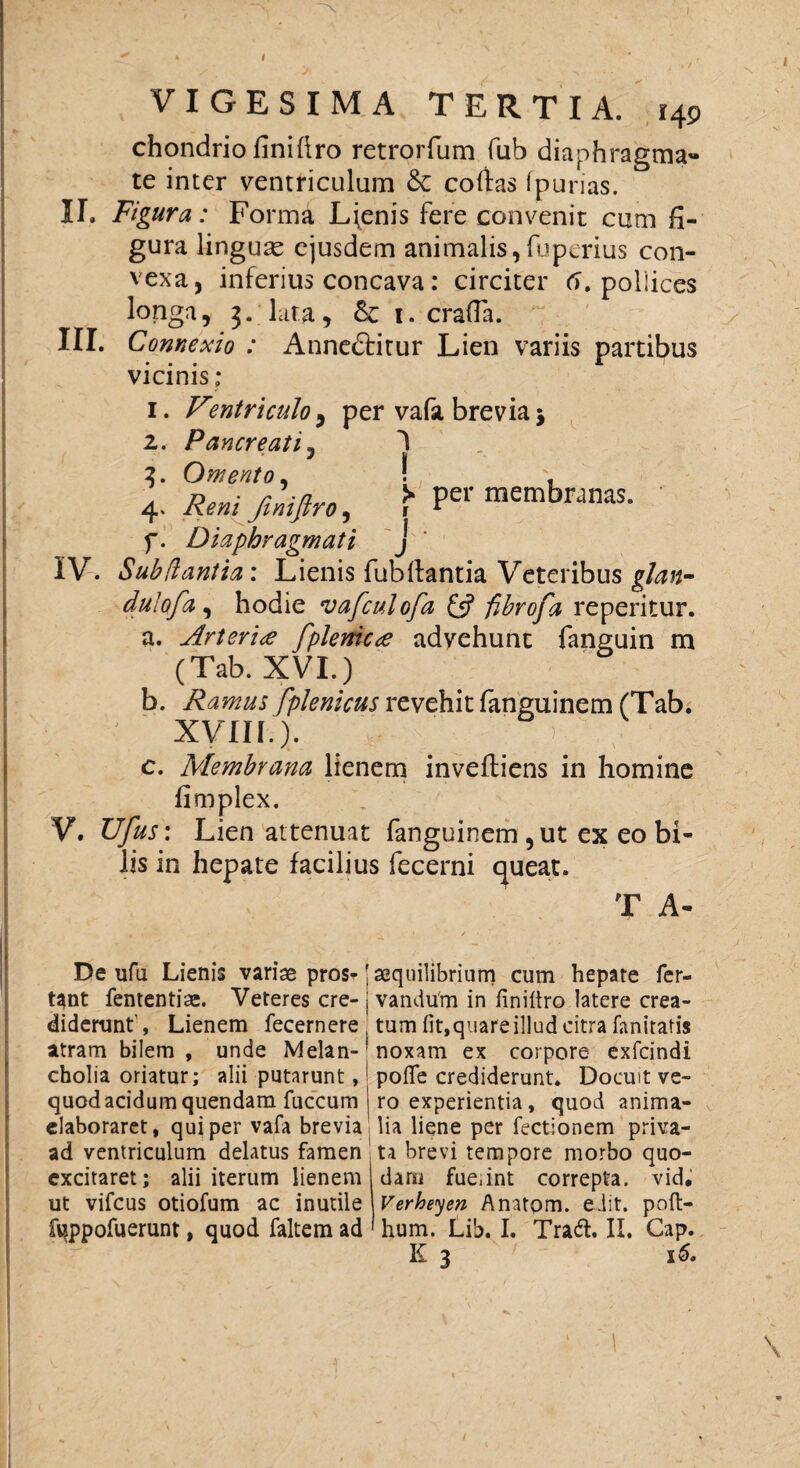 i VIGESIMA TERTIA. 149 chondrio finifiro retrorfum fub diaphragma¬ te inter ventriculum & coftas fpurias. U. Figura: Forma Laenis fere convenit cum fi¬ gura linguae ejusdem animalis,fuperius con¬ vexa, inferius concava: circiter 6. pollices longa, 3. luta, t. crafTa. III. Comexio : Annedtitur Lien variis partibus vicinis; 1. Vmtriculo, per vafa brevia j 2. Pancreati, 1 2. Omento, ! 4 .Reni/mjlro, J- pe>’membranas. f. Diaphragmati J IV. Sub dantia: Lienis fubftantia Veteribus glan- dulofa, hodie vafculofa £5? fibrofa reperitur. a. Arteria fplenicte advehunt fanguin m (Tab. XVI.) b. Ramus fplenicus revehit fanguinem (Tab. XVIII.). > v c. Membrana lienem invelfiens in homine fimplex. V. Ufus: Lien attenuat fanguinem , ut ex eo bi¬ lis in hepate facilius fecerni queat. T A- De ufu Lienis variae pros* j tant fententise. Veteres cre- i diderunt1, Lienem fecernere ' atram bilem , unde Melan-; cholia oriatur; alii putarunt, quod acidum quendam fuccum elaboraret, qui per vafa brevia ad ventriculum delatus famen excitaret; alii iterum lienem ut vifcus otiofum ac inutile fqppofuerunt, quod faltem ad aequilibrium cum hepate fer- vandum in finifiro latere crea¬ tum fit,quare illud citra fanitatis noxam ex corpore exfeindi poflfe crediderunt. Docuit ve¬ ro experientia, quod anima¬ lia liene per fectlonem priva¬ ta brevi tempore morbo quo¬ dam fue.int correpta, vid. Verheyen Anatpm. edit, poft- hum. Lib. I. Tradi. II. Gap. E 3 16. \